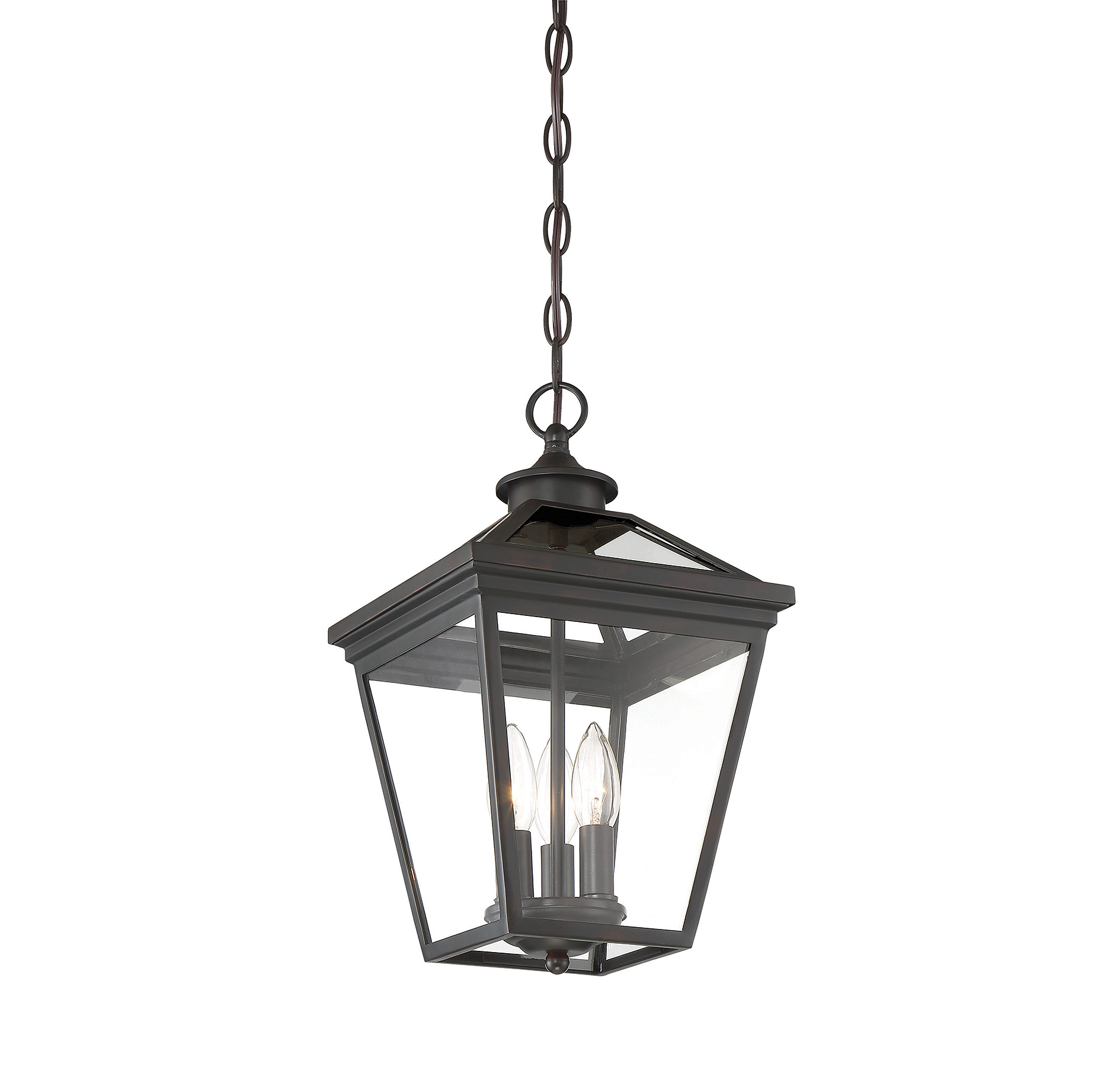 Savoy House Ellijay Outdoor Hanging Lantern - Picture 10 of 16