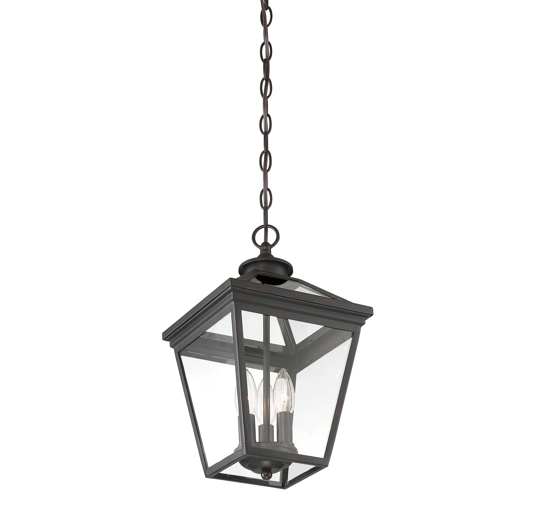Savoy House Ellijay Outdoor Hanging Lantern - Picture 11 of 16