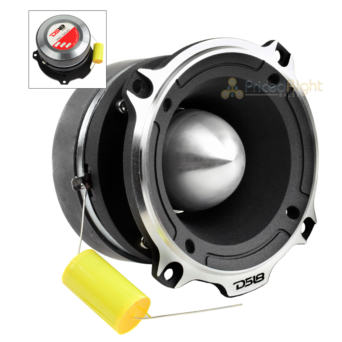 ds18 pro tw310
