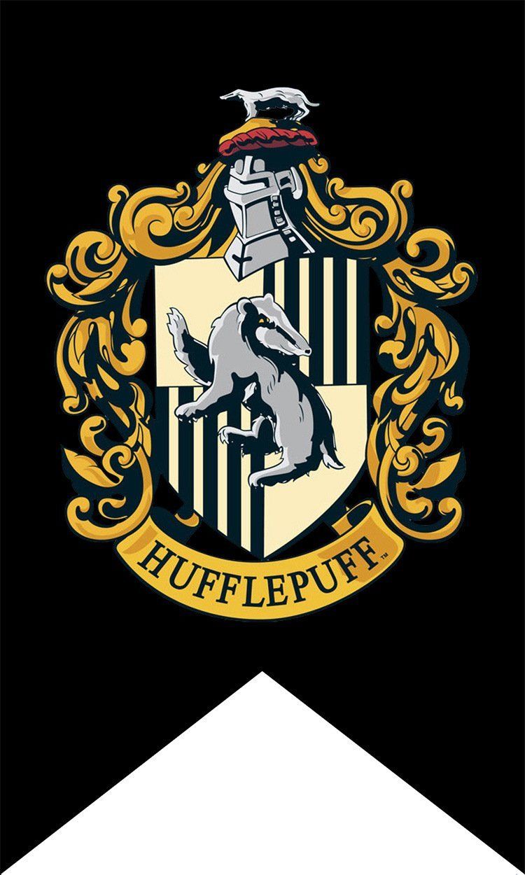 Harry Potter House Wall Banner Badge Patch Gryffindor Flag Hufflepuff