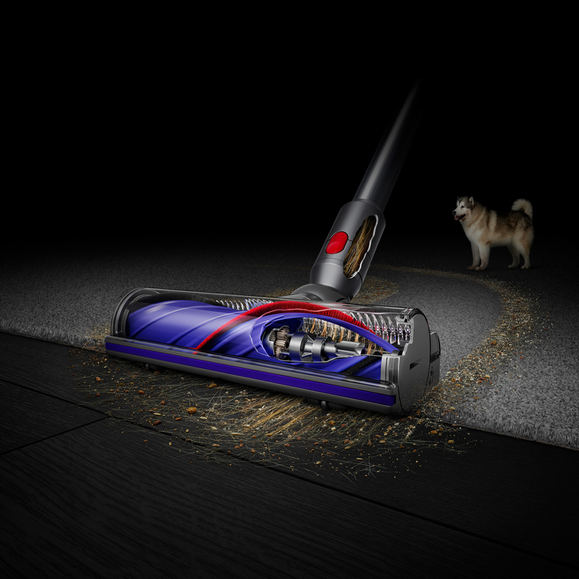 Dyson SV25 V8 Extra Cordless Vacuum | Purple | Refurbished
