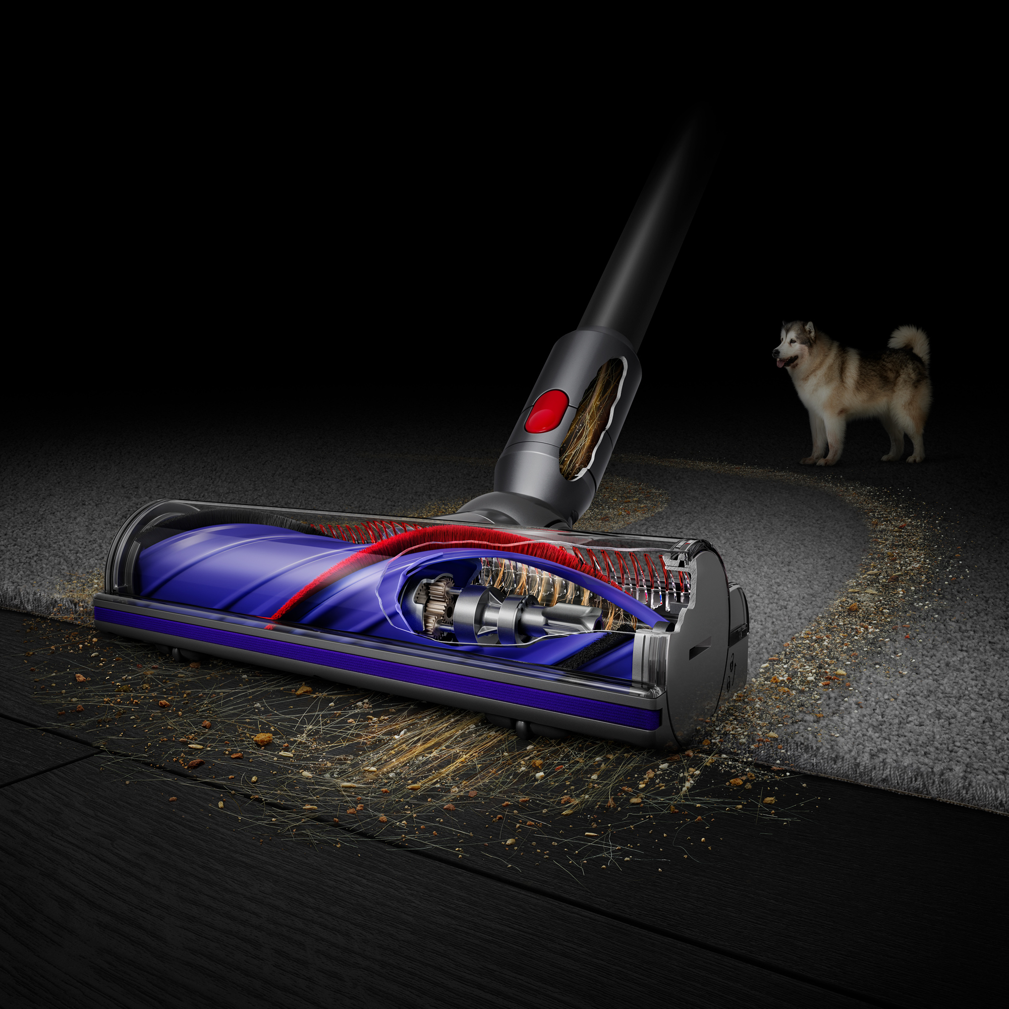 Dyson V11 Extra Cordless Vacuum Cleaner | Blue | Refurbished | eBay