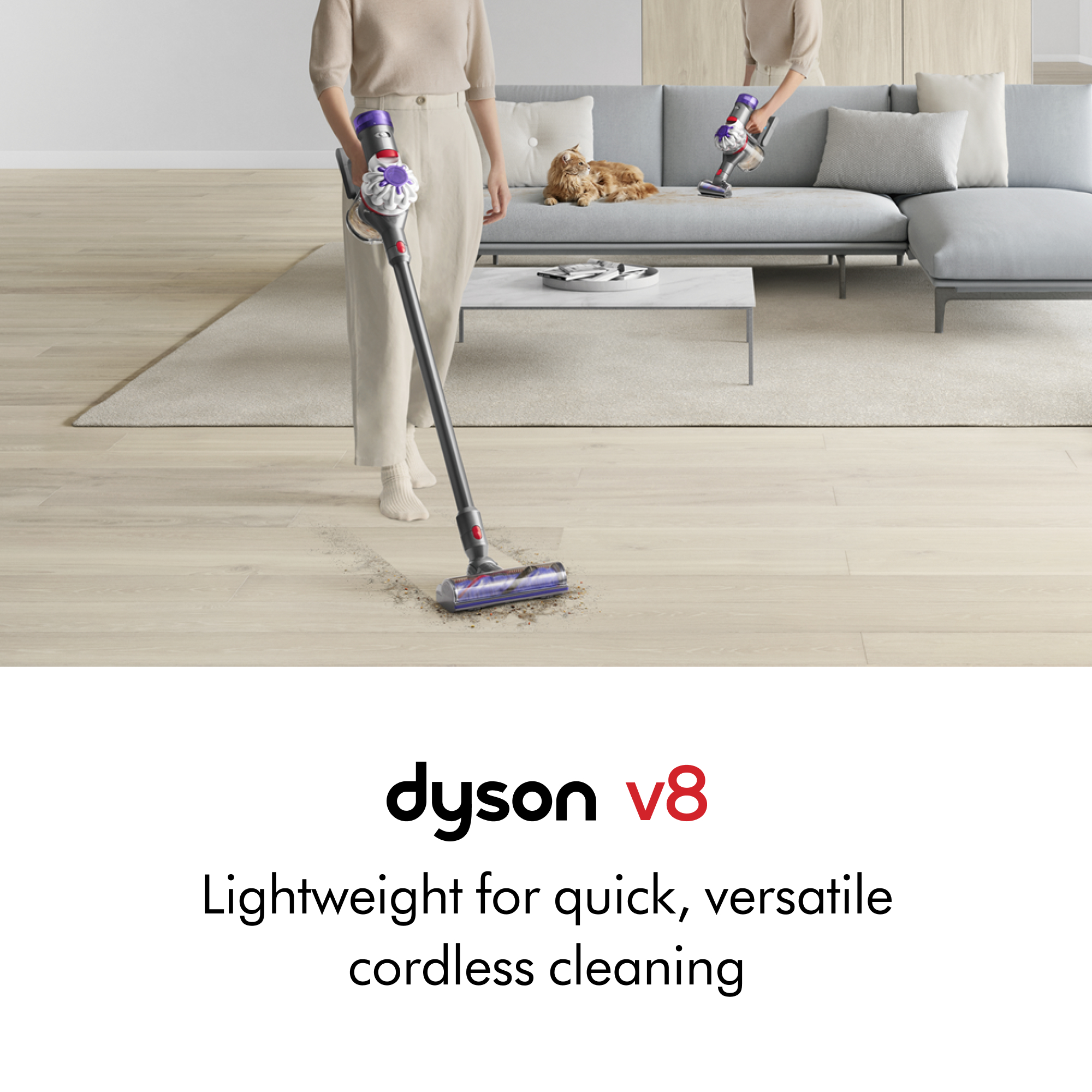 Dyson V8 Cordless Vacuum | Silver | New 885609027319| eBay