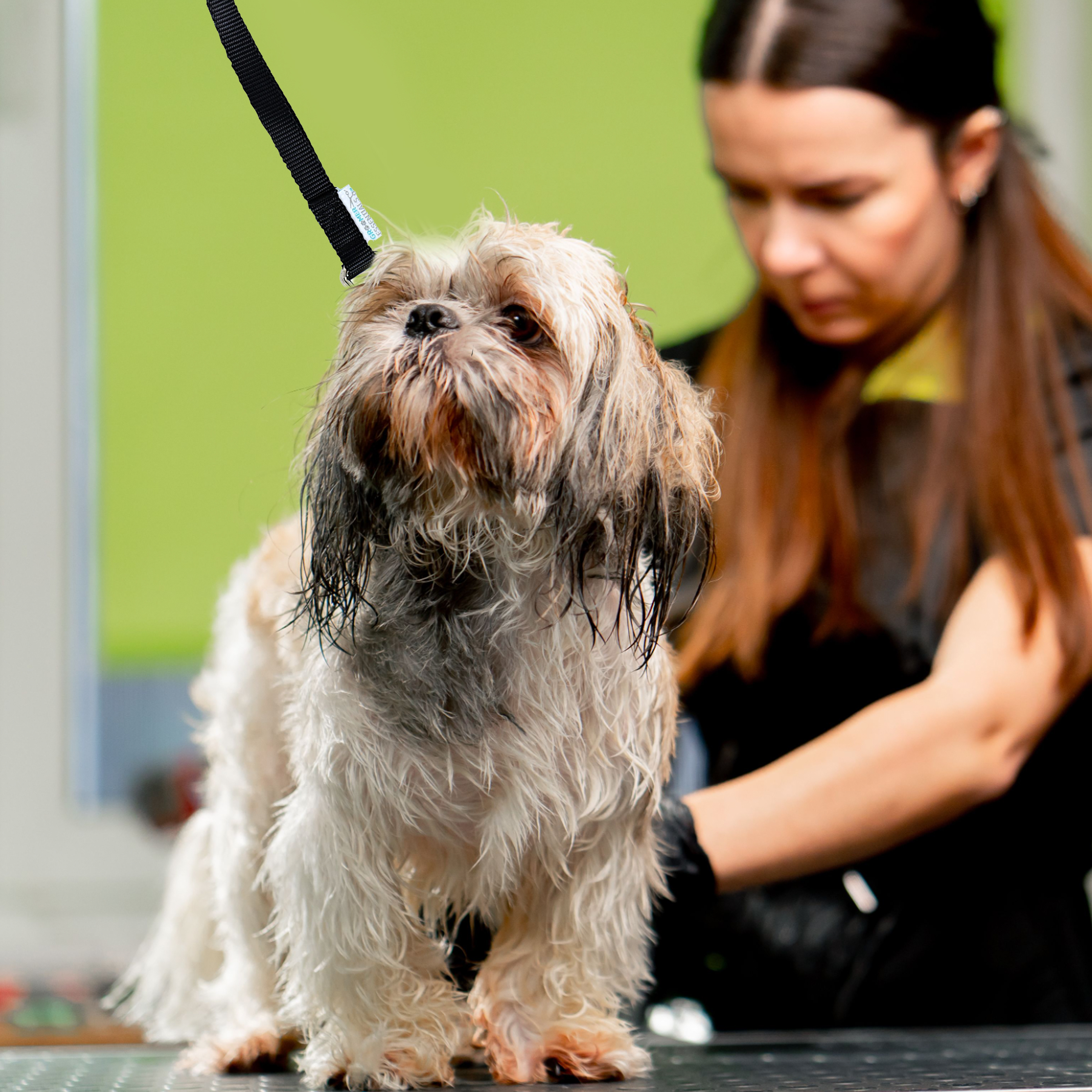 Groomer Essentials 17" bucles de aseo - turquesa - Imagen 8 de 12