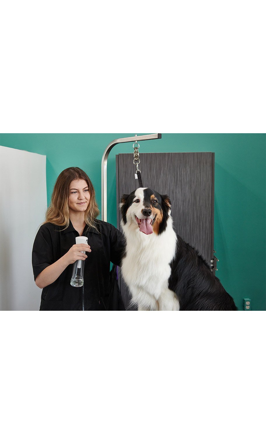 Botella de spray continuo Groomer Essentials 12 oz. - Pack de 3 - Imagen 2 de 2