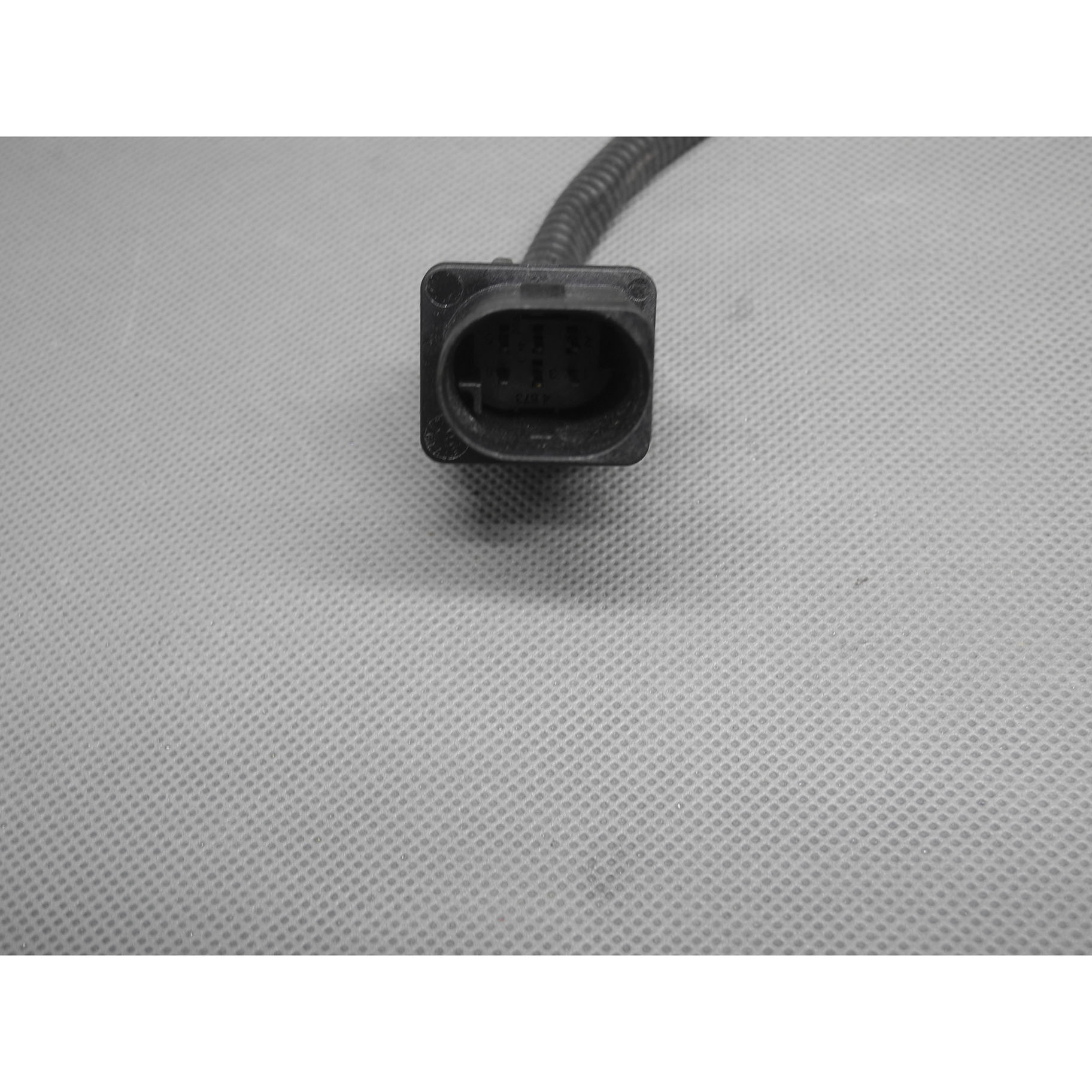 ソレル 楽天市場】＜選べる2モデル＞ ザノーネ 春秋冬 ジロー GIRO コットン