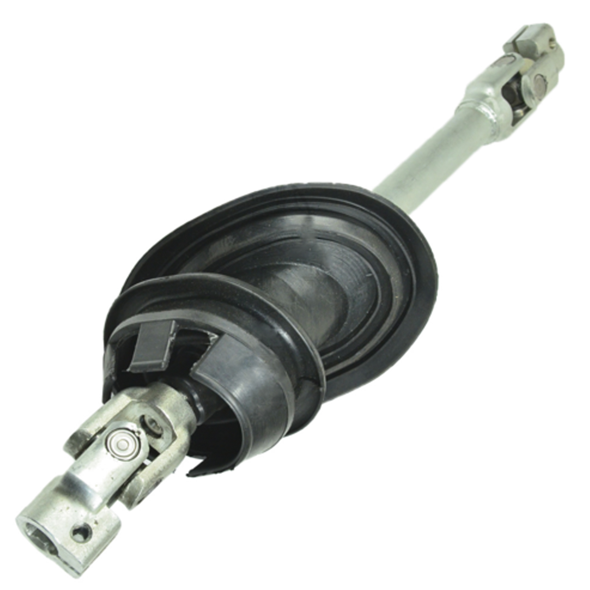 Affiliate Members Institute Of Infectious Disease and Molecular Medicine