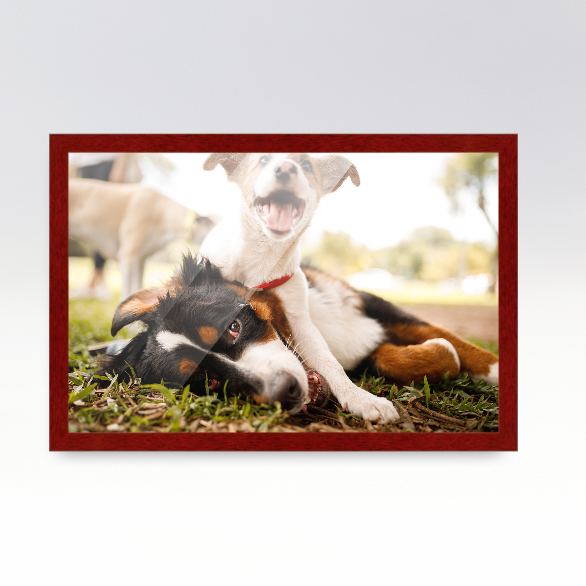 Responsive image