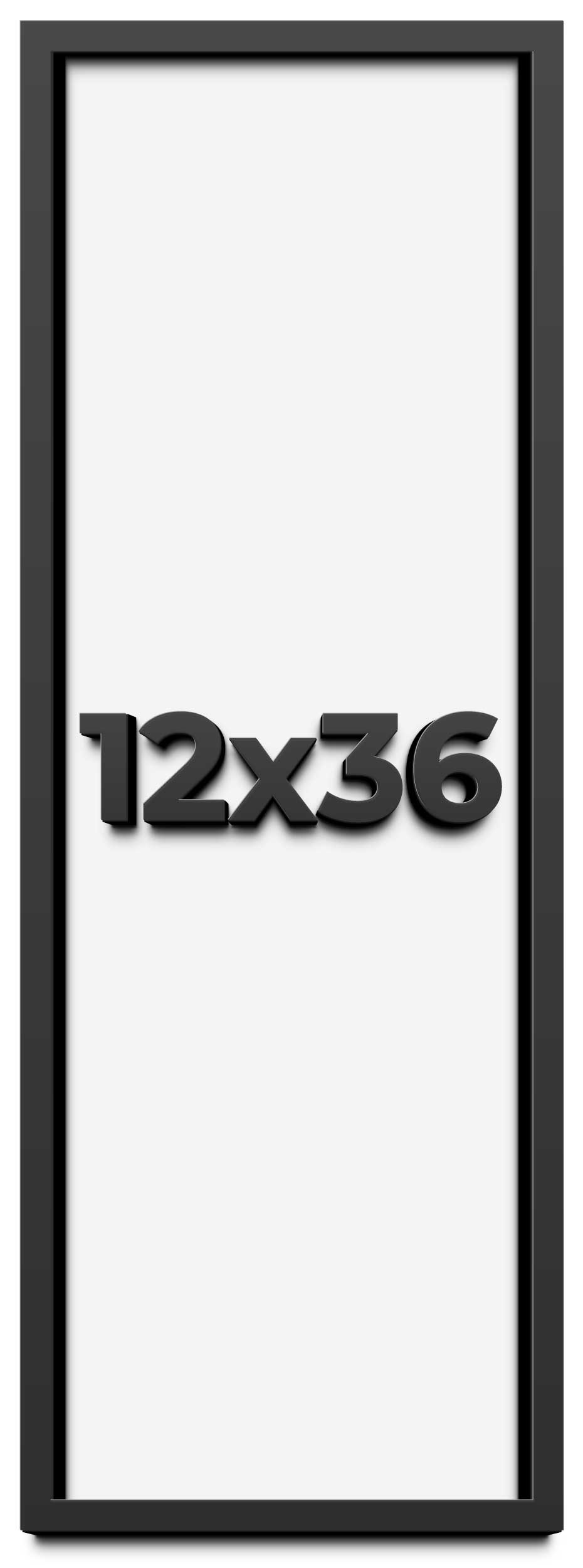 12x36 Shadowbox Gallery Wood Frames - Black DEEP Shadow Box Frame with a Display