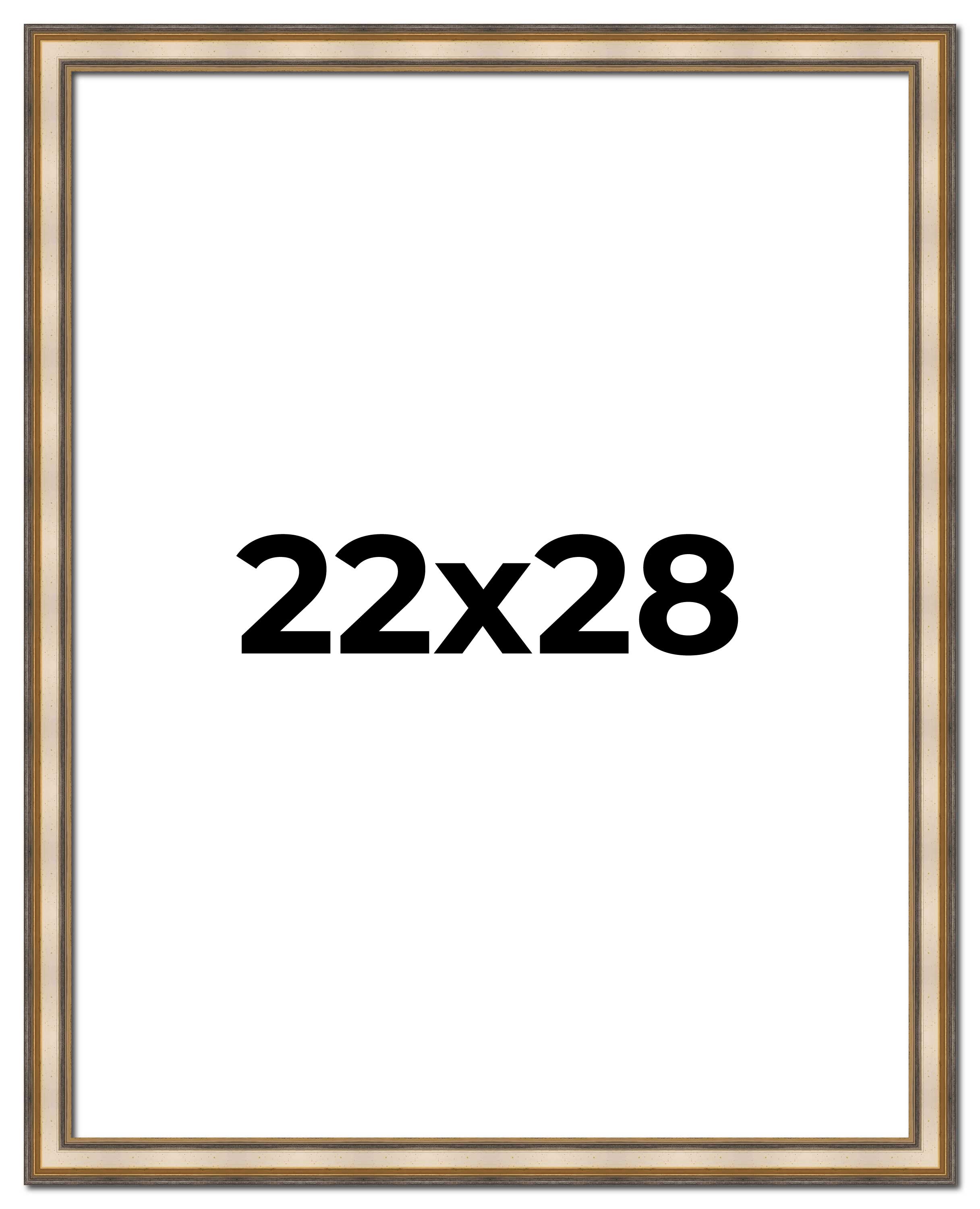 22x28 1.75 Wide 'Prima Wide Silver Contemporary Solid Wood Picture Frame main product image