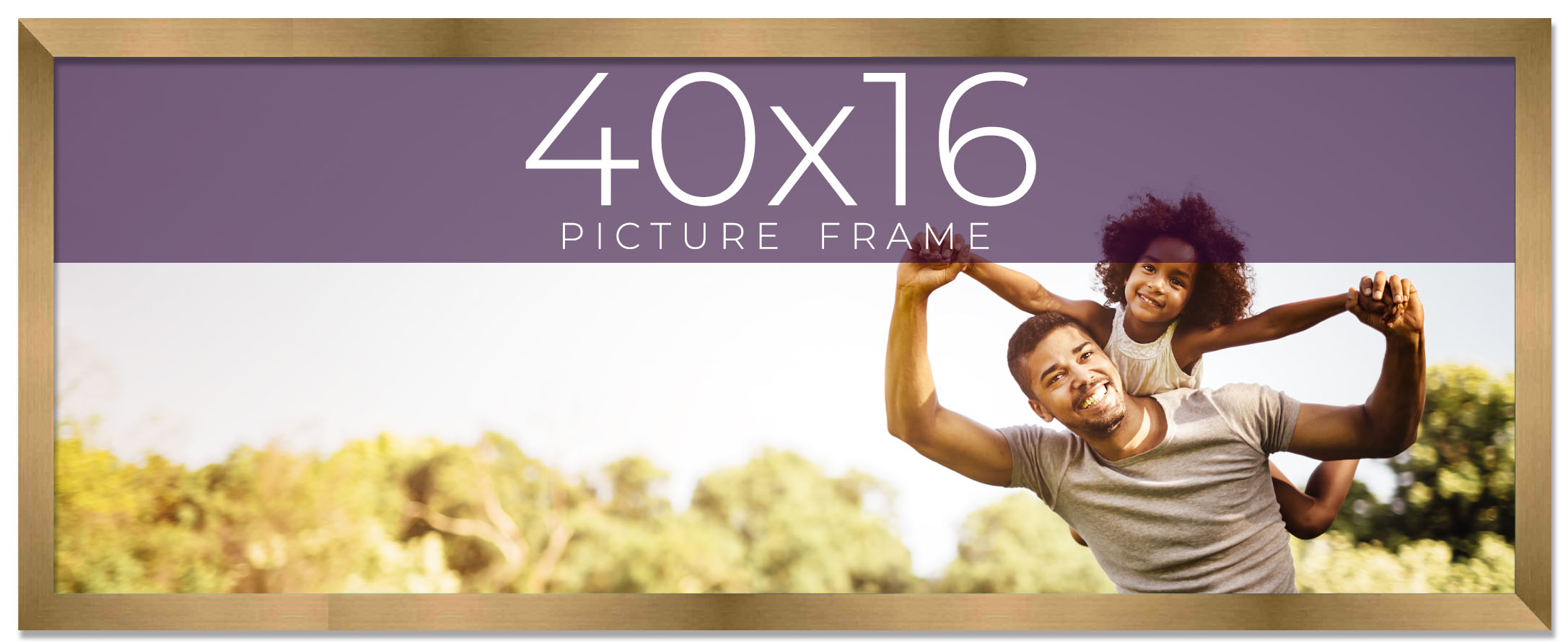 40x16 Frame Gold Bronze Solid Wood Picture Frame Width 0.75 Inches | Interior Fr main product image
