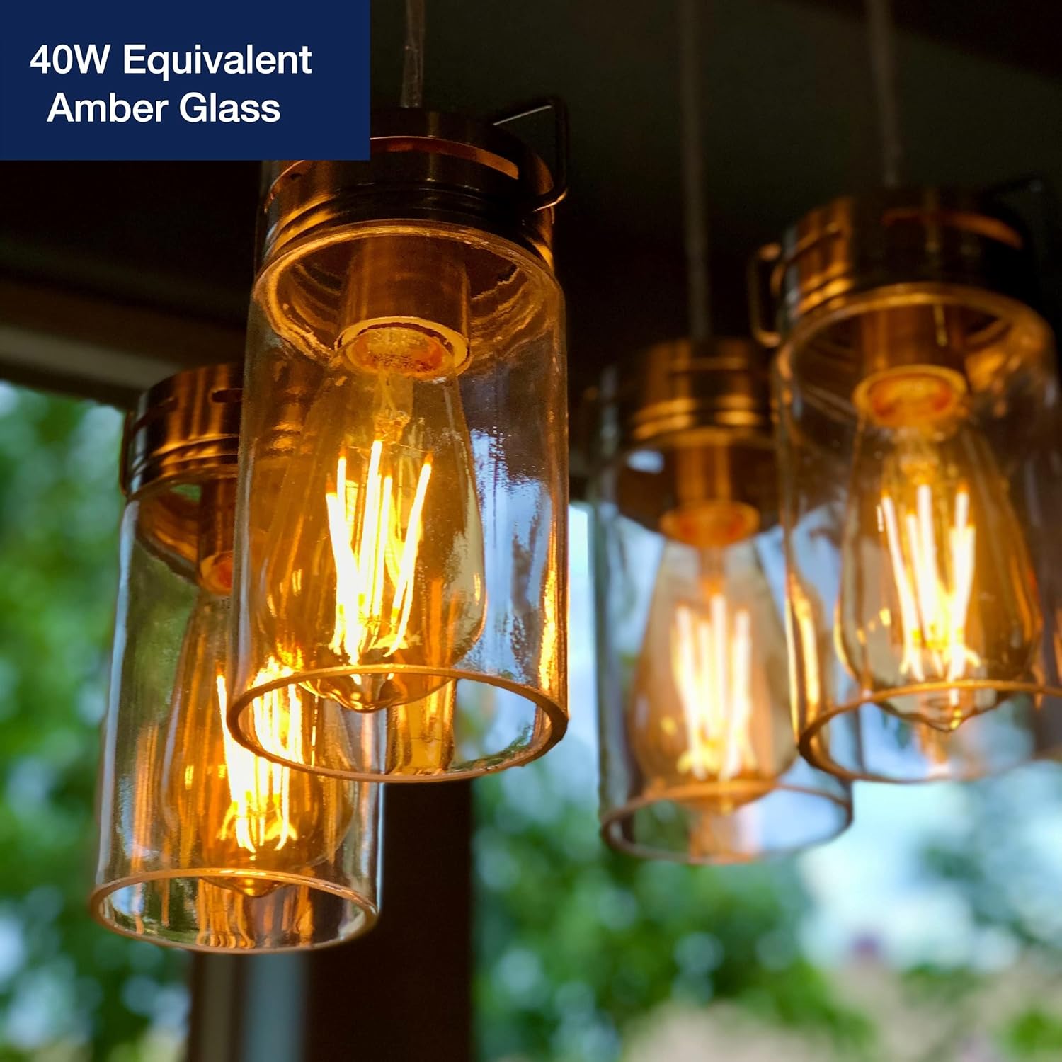 Jaspertronics ST19 LED Edison Bulbs