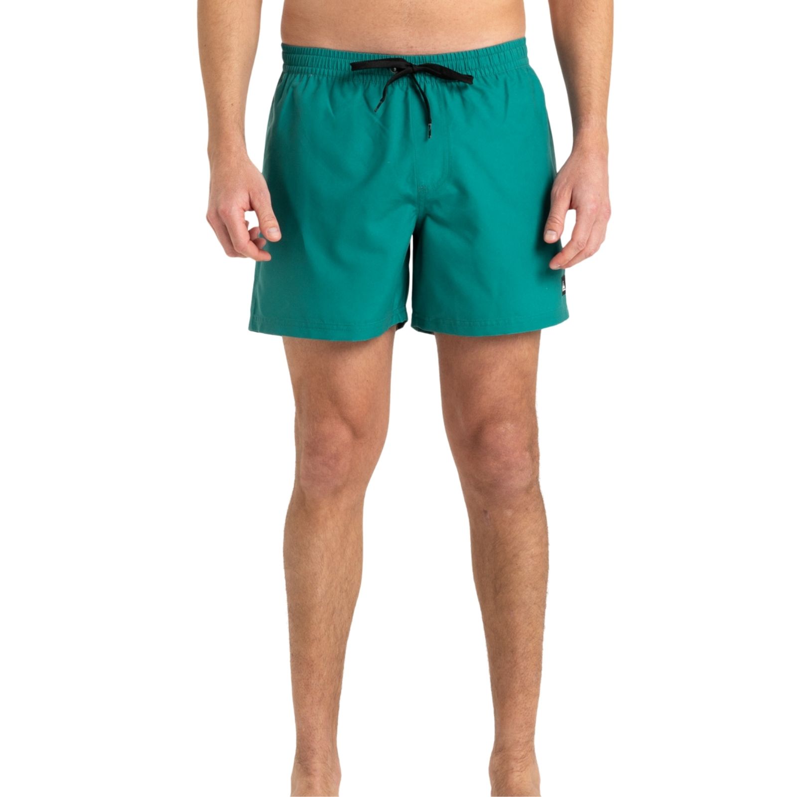 Pantalones cortos de natación Quiksilver para hombre lisos todos los días de 15" - Imagen 54 de 56