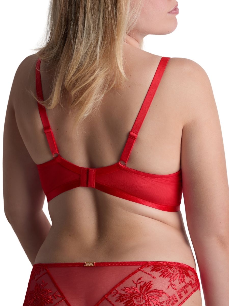 Aubade Rules of Attraction Triangle Plunge Bra Underwired Bras Embroidered - Picture 21 of 22