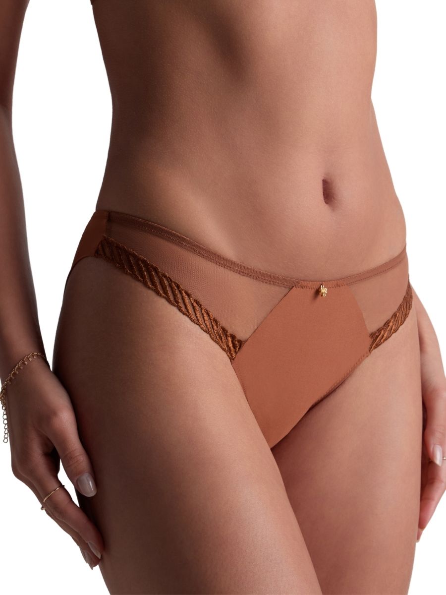 Aubade Sheer Emotion Brazillian Brief Knickers Mid Rise Sheer Embroidered
