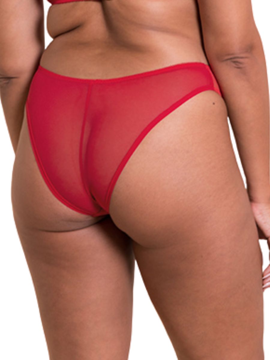 Curvy Kate Pucker Up Brazilian Mid Rise Briefs Sheer Lined Knickers Lingerie