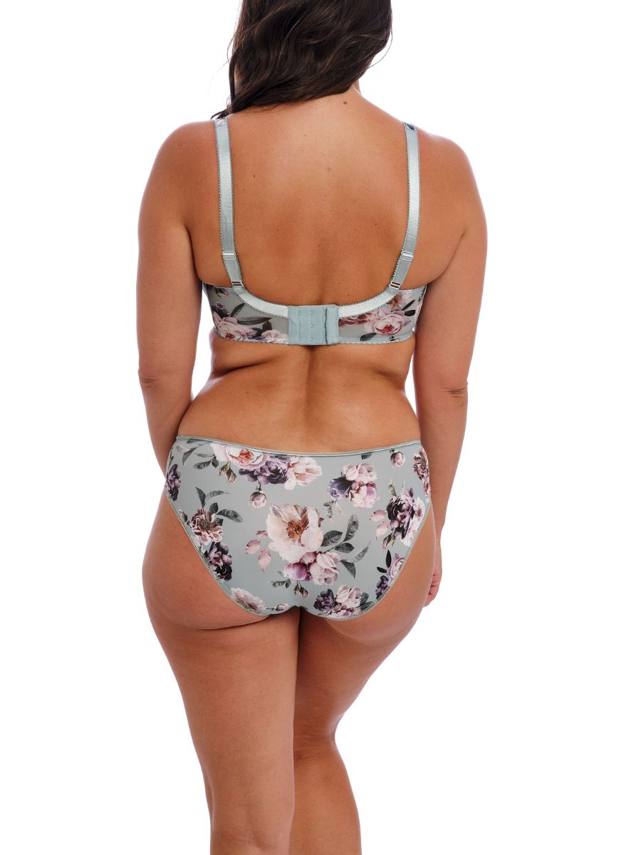 Fantasie Pippa Brief Mid Rise Lined Lace Briefs Knickers Lingerie - Picture 10 of 29
