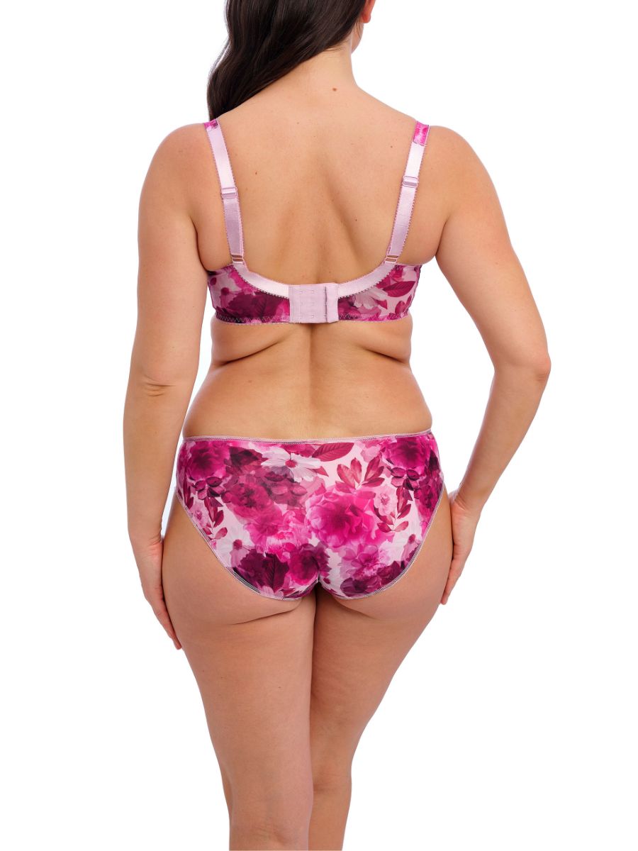 Fantasie Pippa Brief Mid Rise Lined Lace Briefs Knickers Lingerie - Picture 22 of 29