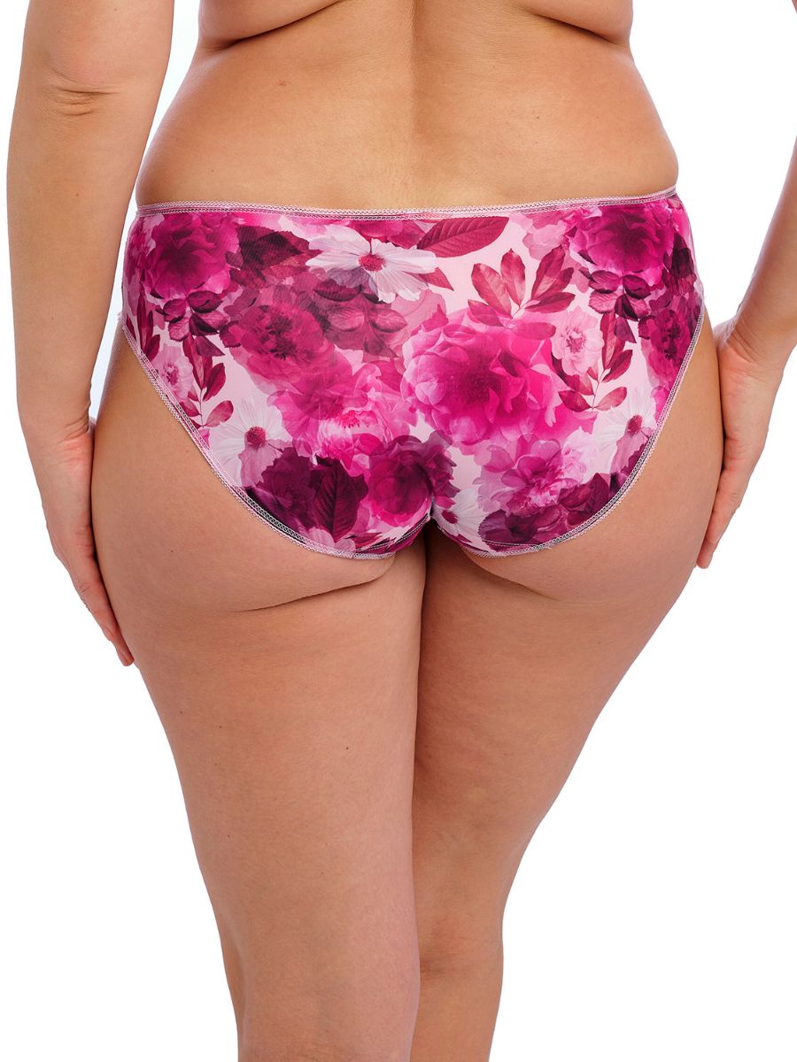 Fantasie Pippa Brief Mid Rise Lined Lace Briefs Knickers Lingerie - Picture 19 of 29