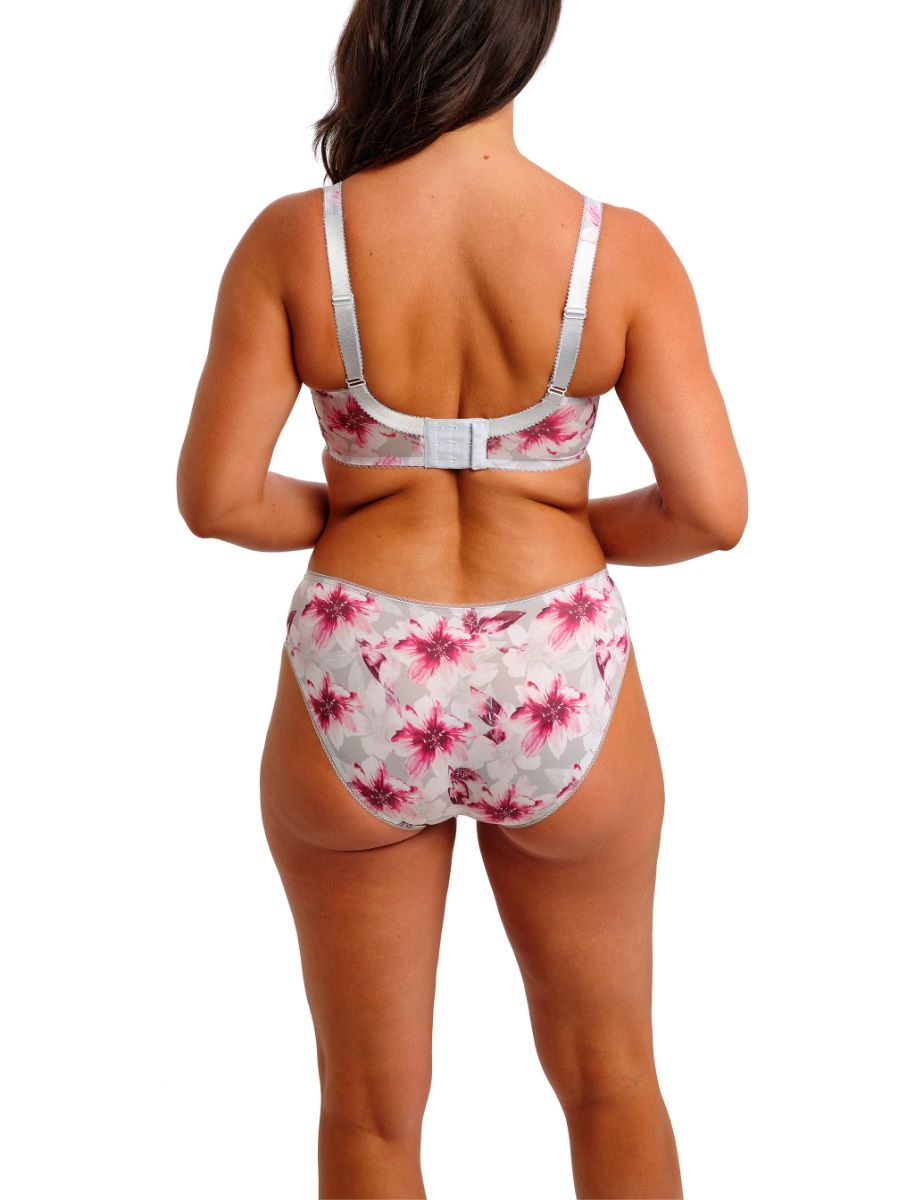 Fantasie Pippa Brief Mid Rise Lined Lace Briefs Knickers Lingerie - Picture 16 of 29
