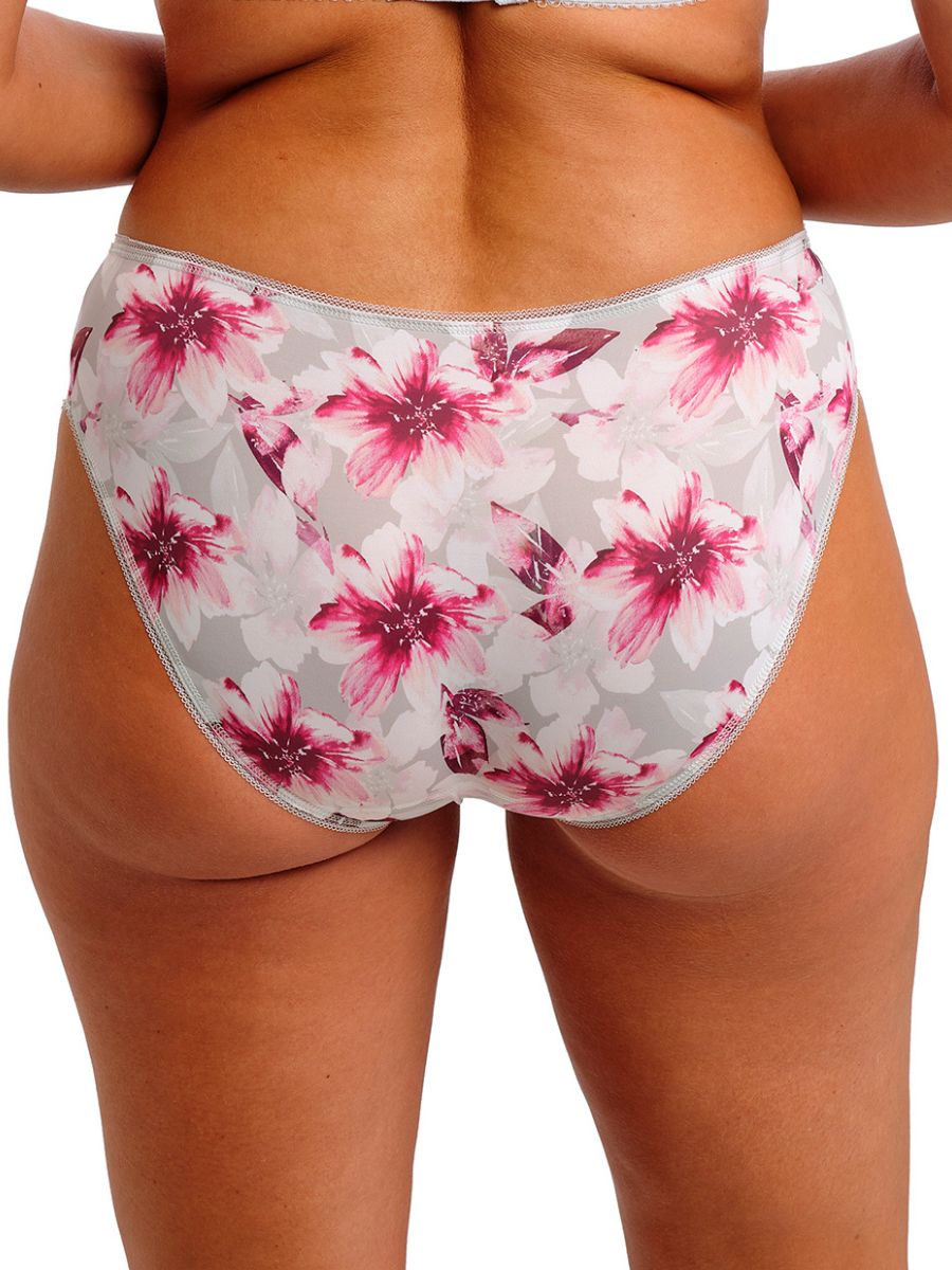 Fantasie Pippa Brief Mid Rise Lined Lace Briefs Knickers Lingerie - Picture 13 of 29