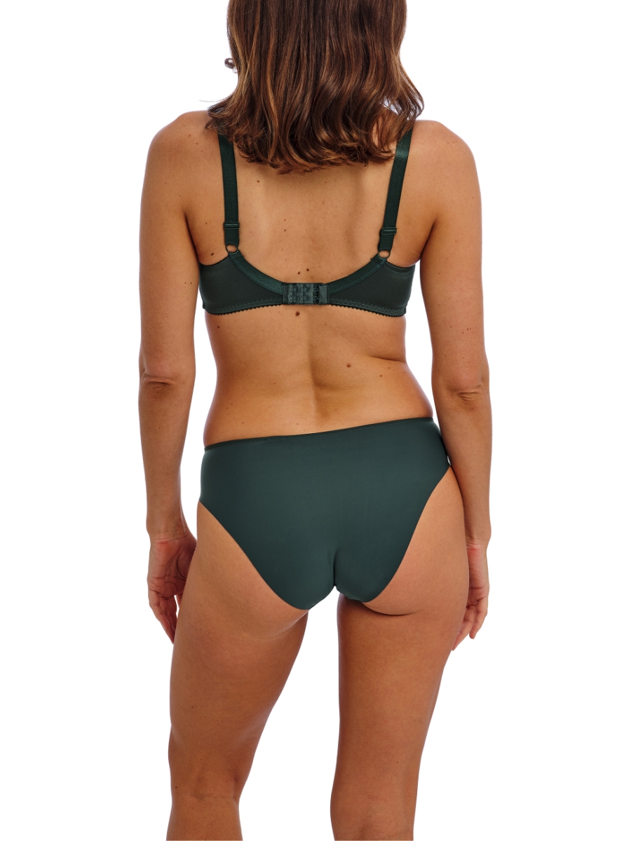 Wacoal Eglantine Brief Mid Rise Stretch Lined Briefs Lace Knickers Lingerie - Picture 10 of 19