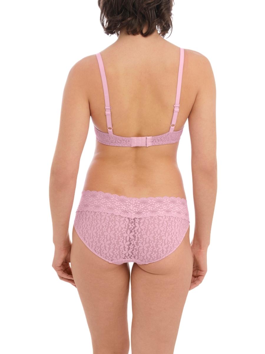 Wacoal Halo Lace Briefs Bikini Brief Knickers Sheer Briefs Luxury Lingerie - Picture 21 of 33