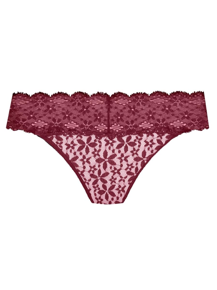 Wacoal Halo Lace Briefs Bikini Brief Knickers Sheer Briefs Luxury Lingerie - Picture 27 of 33