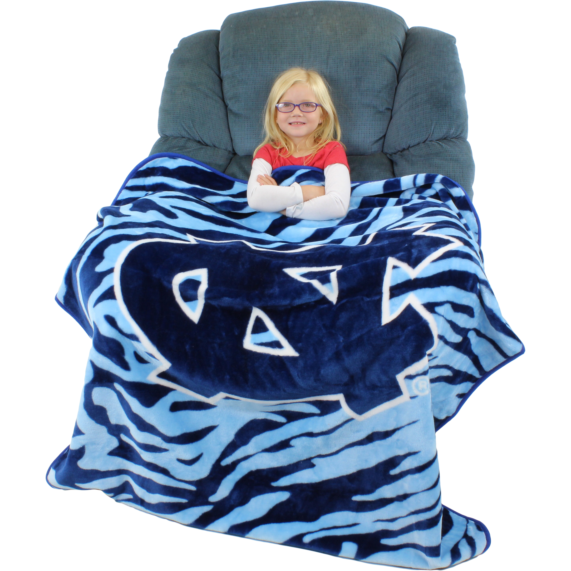 Super Soft Raschel Throw Blanket, 50" x 60" - Picture 58 of 84