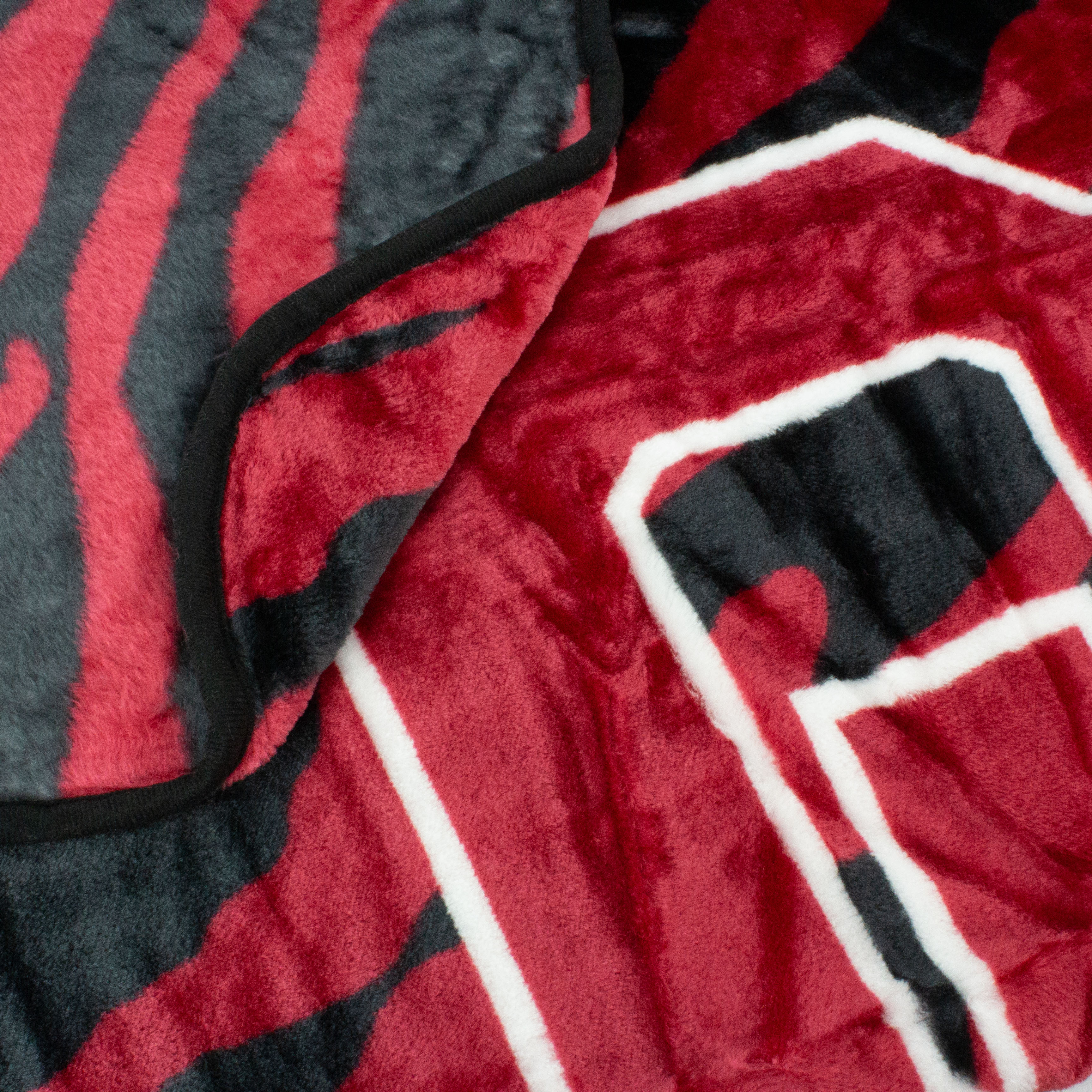Super Soft Raschel Throw Blanket, 50" x 60" - Picture 68 of 84