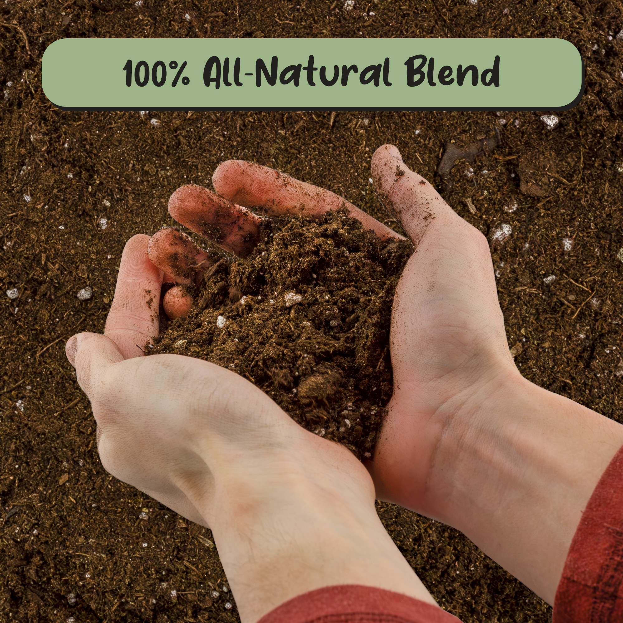 Soil Sunrise- 8qt Peace Lily Potting Soil Mix, for Growing Peace Lily Plants