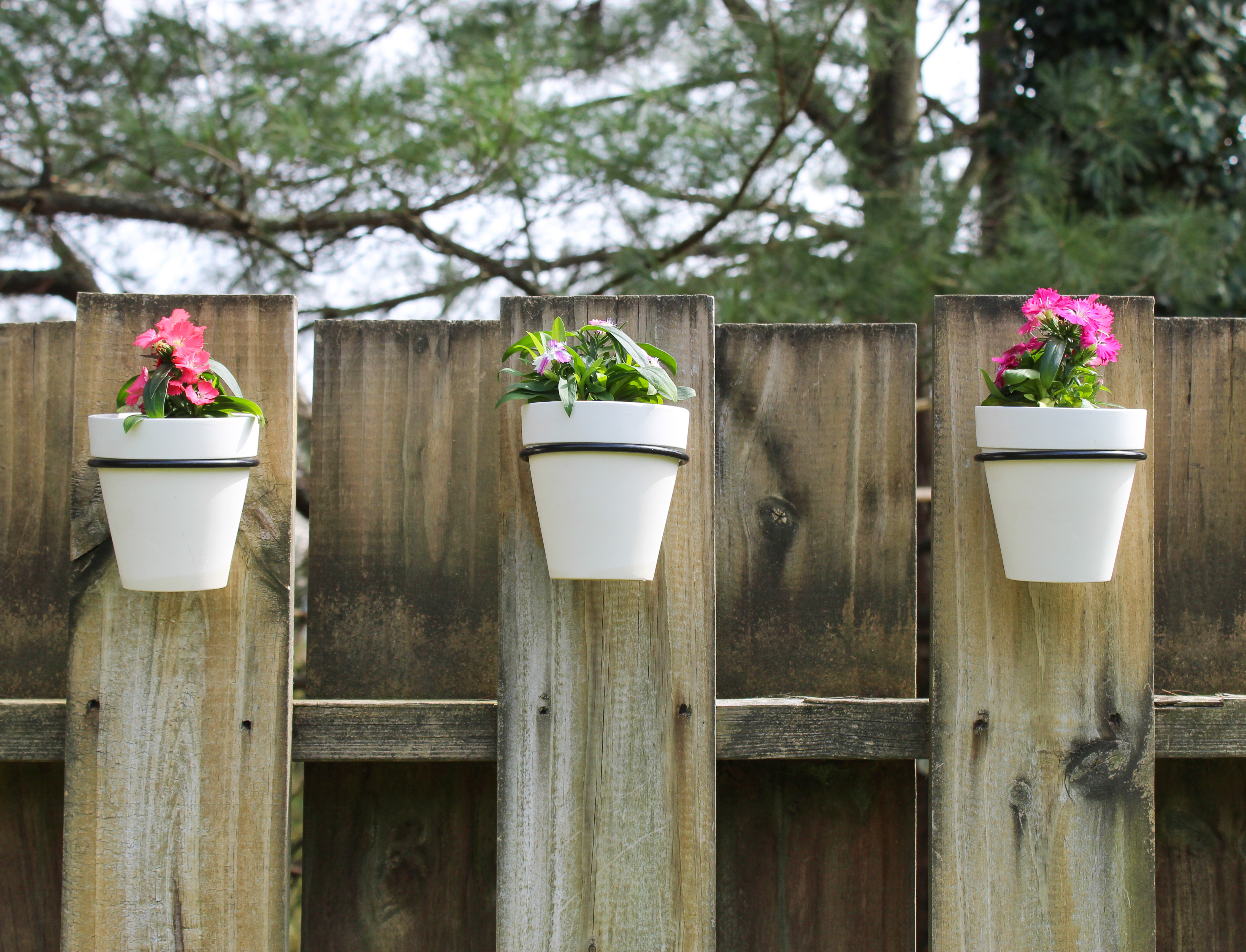 Wall Mounted Planter Rings w/ White Clay Pots 8pc Set; Black or White Rings - Picture 15 of 23