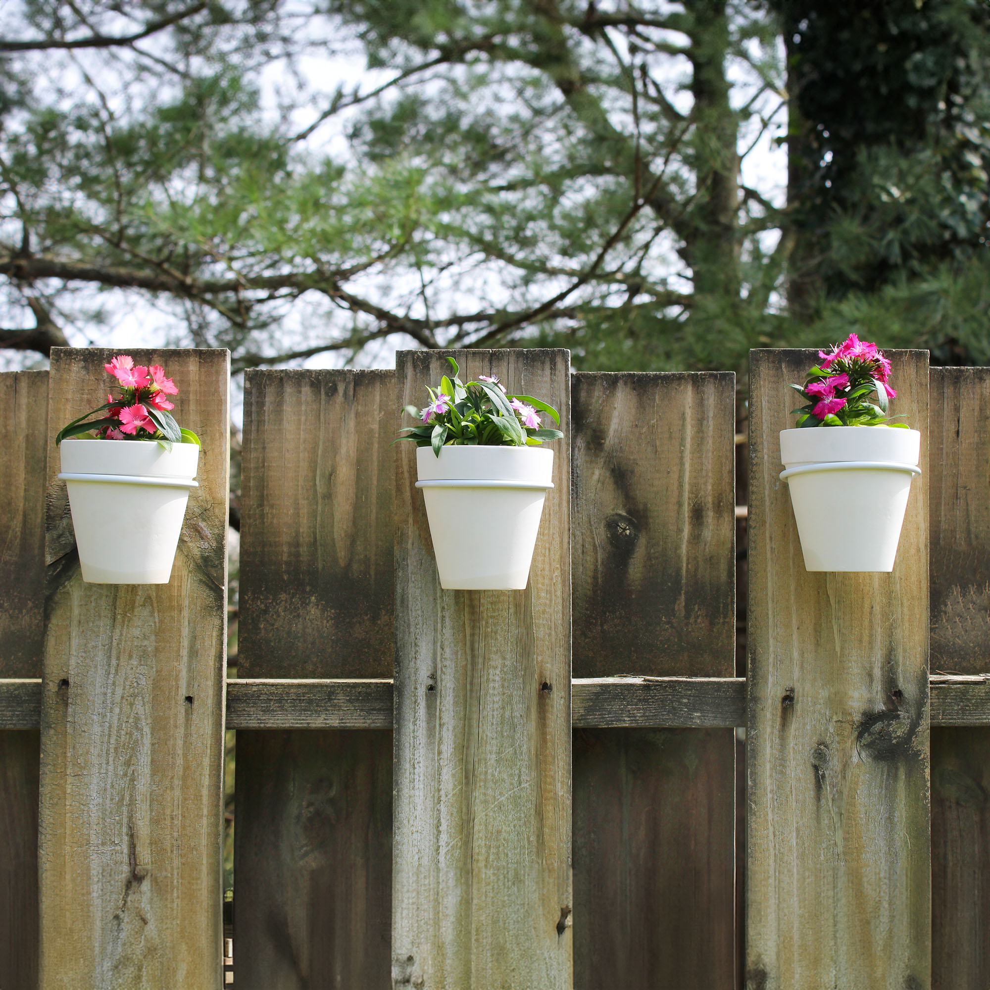 Wall Mounted Planter Rings w/ White Clay Pots 8pc Set; Black or White Rings - Picture 19 of 23