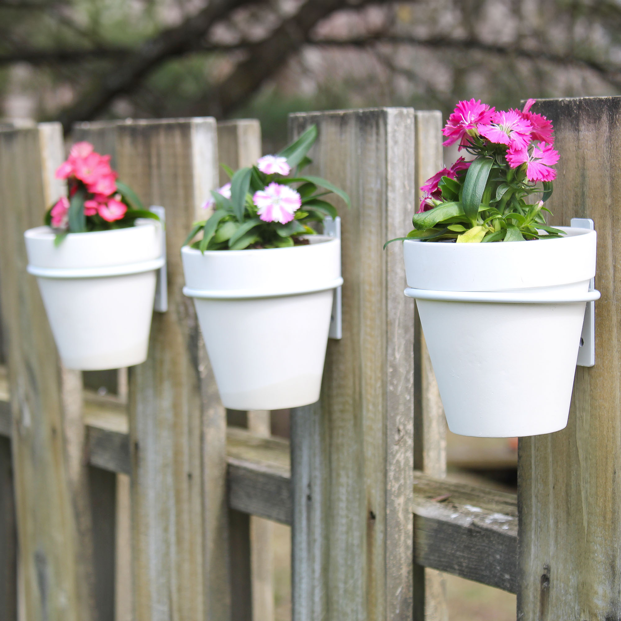 Wall Mounted Planter Rings w/ White Clay Pots 8pc Set; Black or White Rings - Picture 17 of 23
