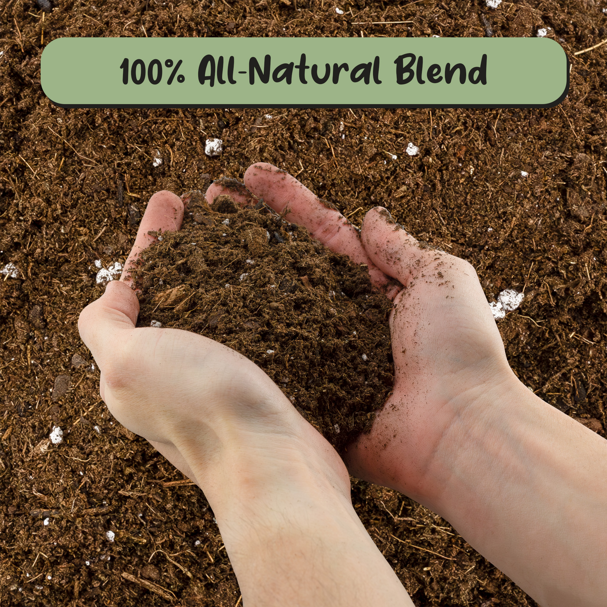Soil Sunrise 30qt Monstera Houseplant Potting Soil Mix, Custom Blend for Growing & Repotting