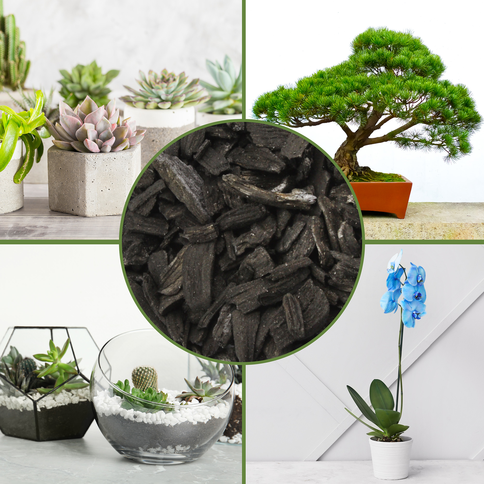 Horticultural Charcoal Plant Hardwood Soil Amendment Orchid Terrarium & Garden - Picture 16 of 24