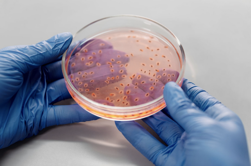 yescomusa, healthy home, clean air