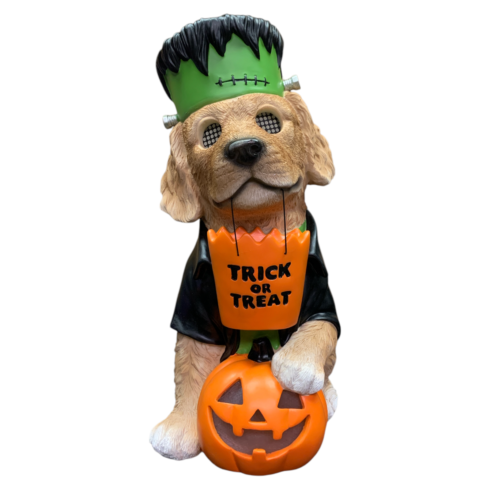 Member's Mark Pre-Lit Halloween Kostüm Haustier Deko mit LCD Augen und LED Kürbis - Bild 2 von 13
