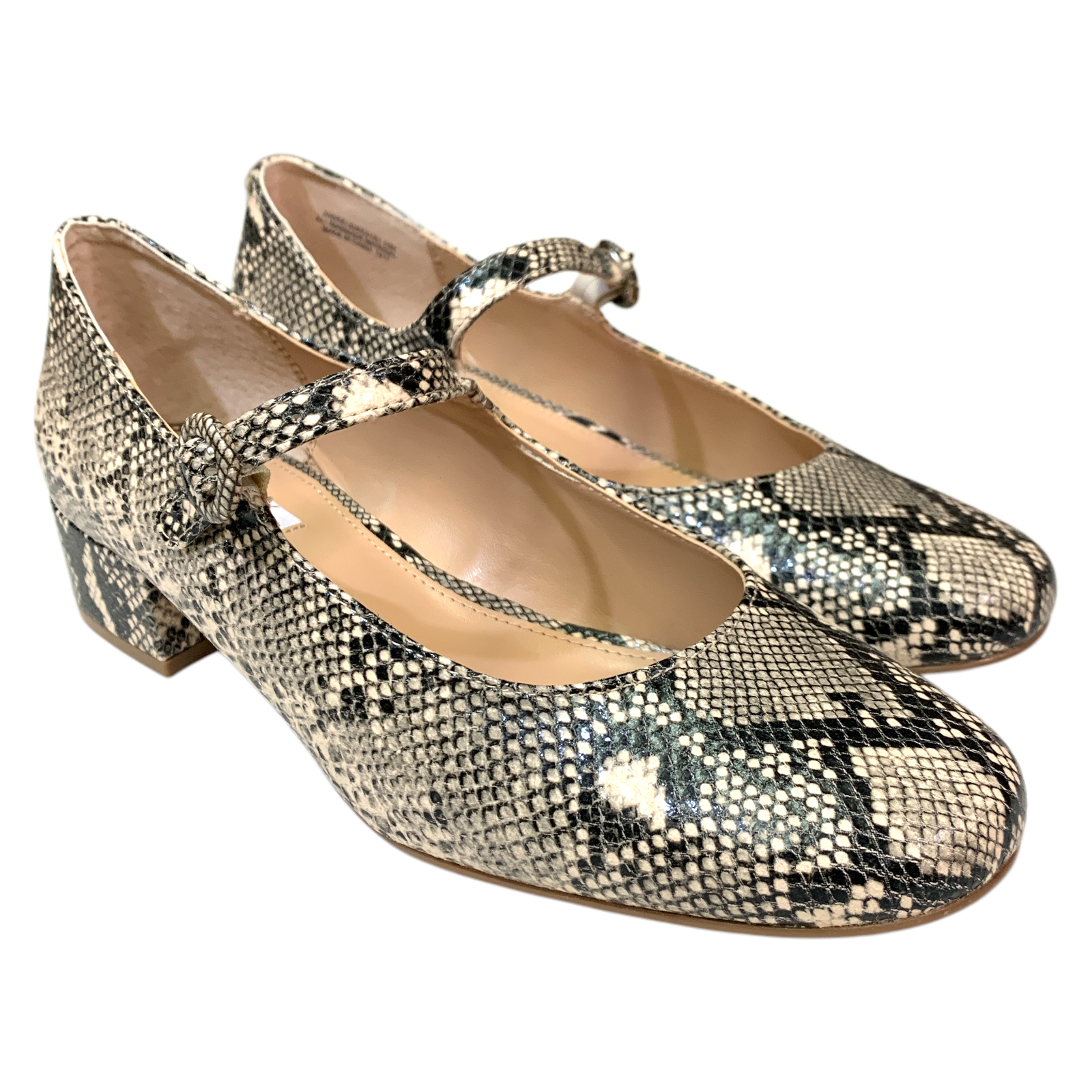 Steve Madden Women's Mary Jane Buckle Low Block Heel - Picture 8 of 21