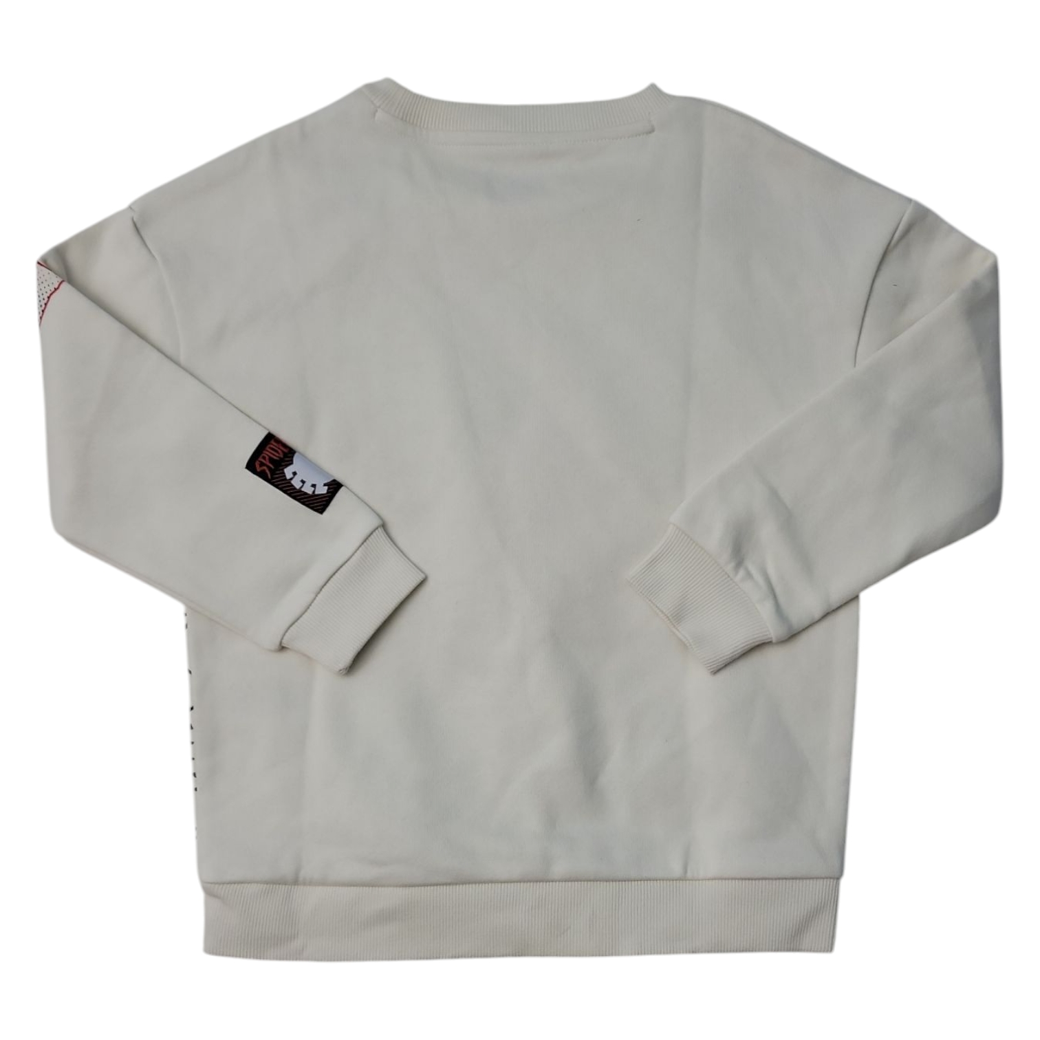 Character Boys Soft Crewneck Graphic Print Sweatshirt - Picture 8 of 8