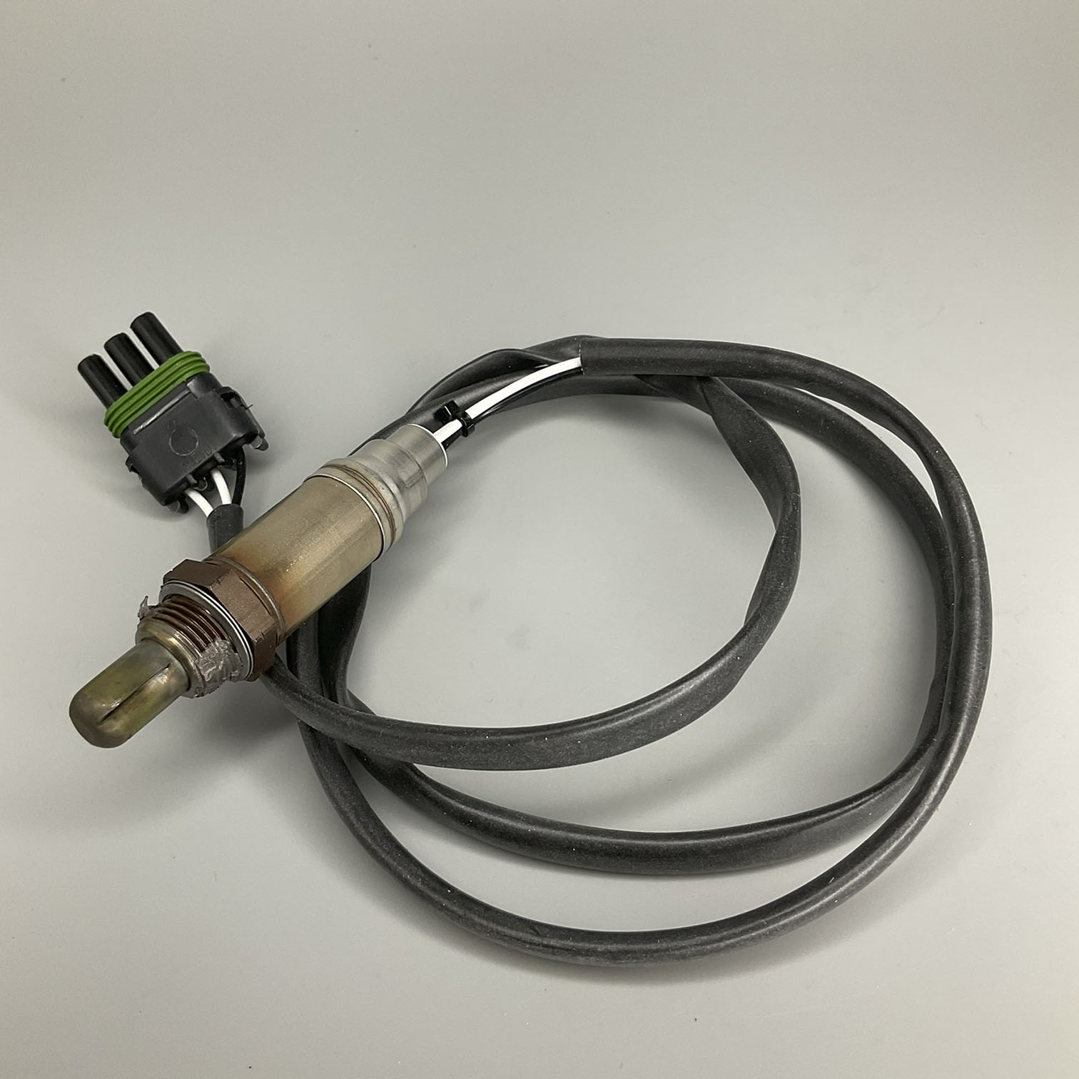 アオ　0324 993b-90397524_03.jpg