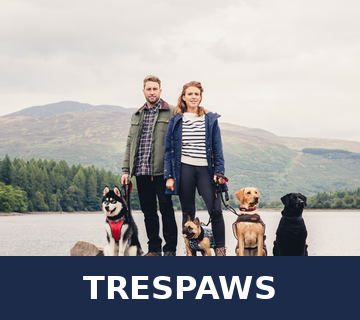 Dog coats and Toys