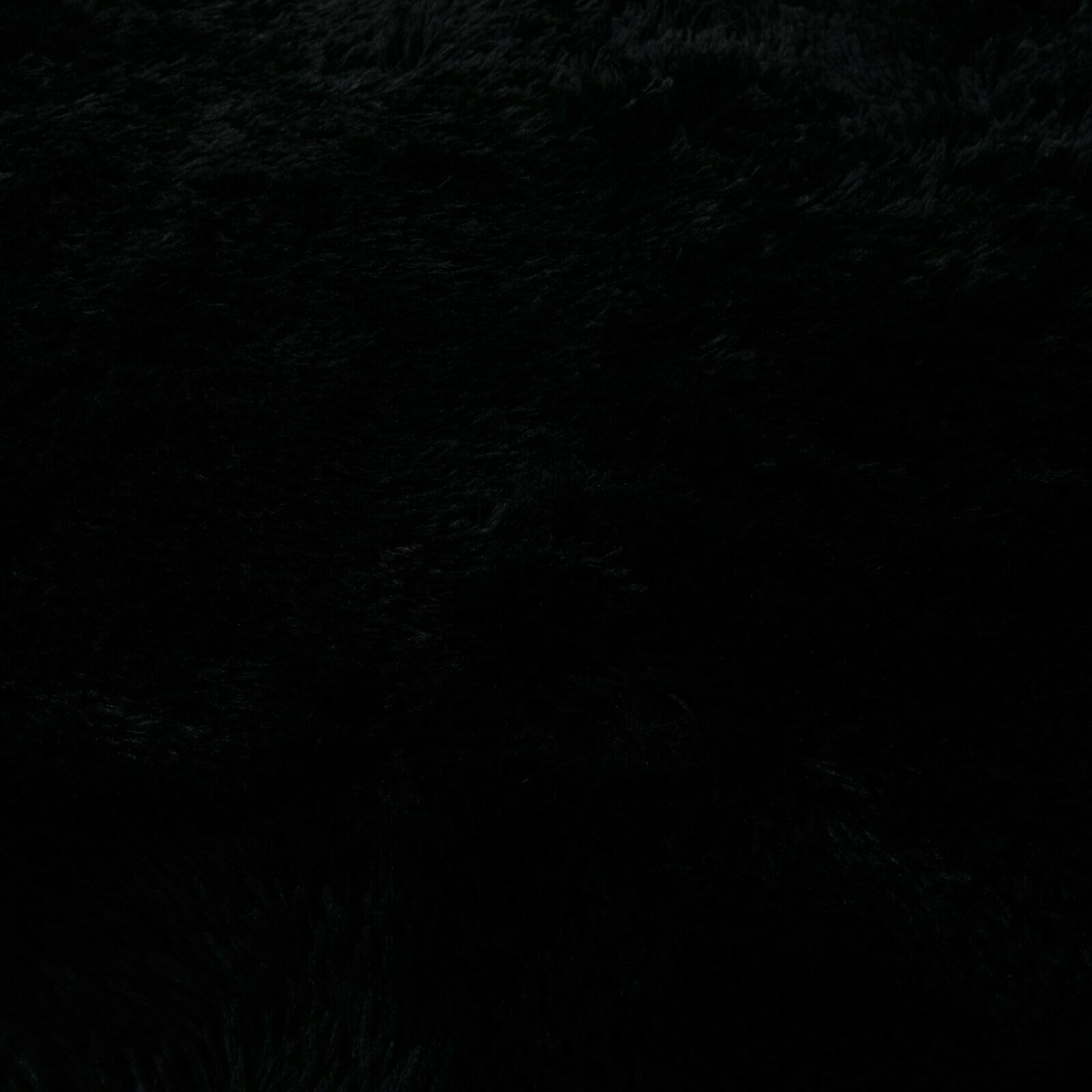Picture 12 of 63
