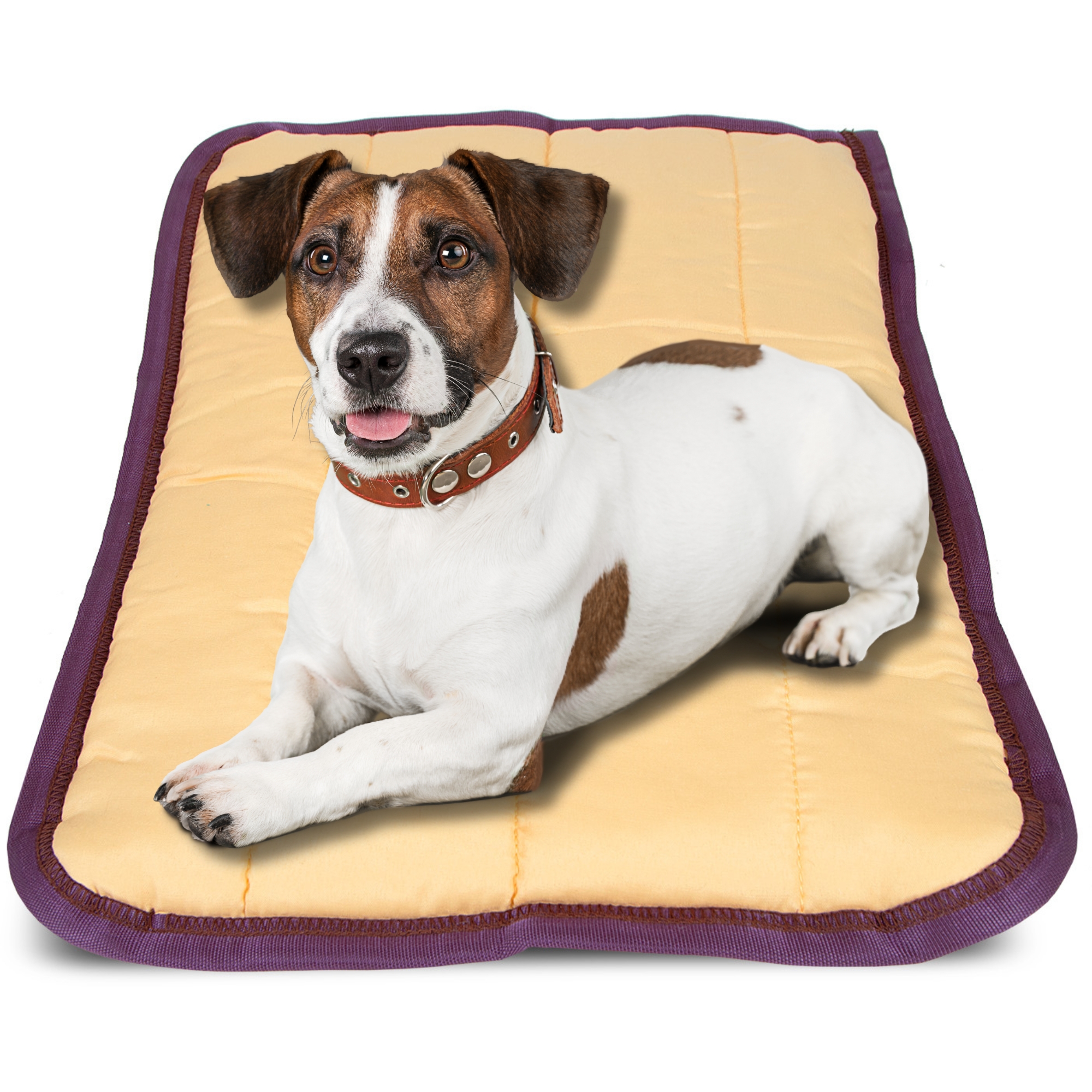 Pet Comfort Pillow - small 18" x 24"