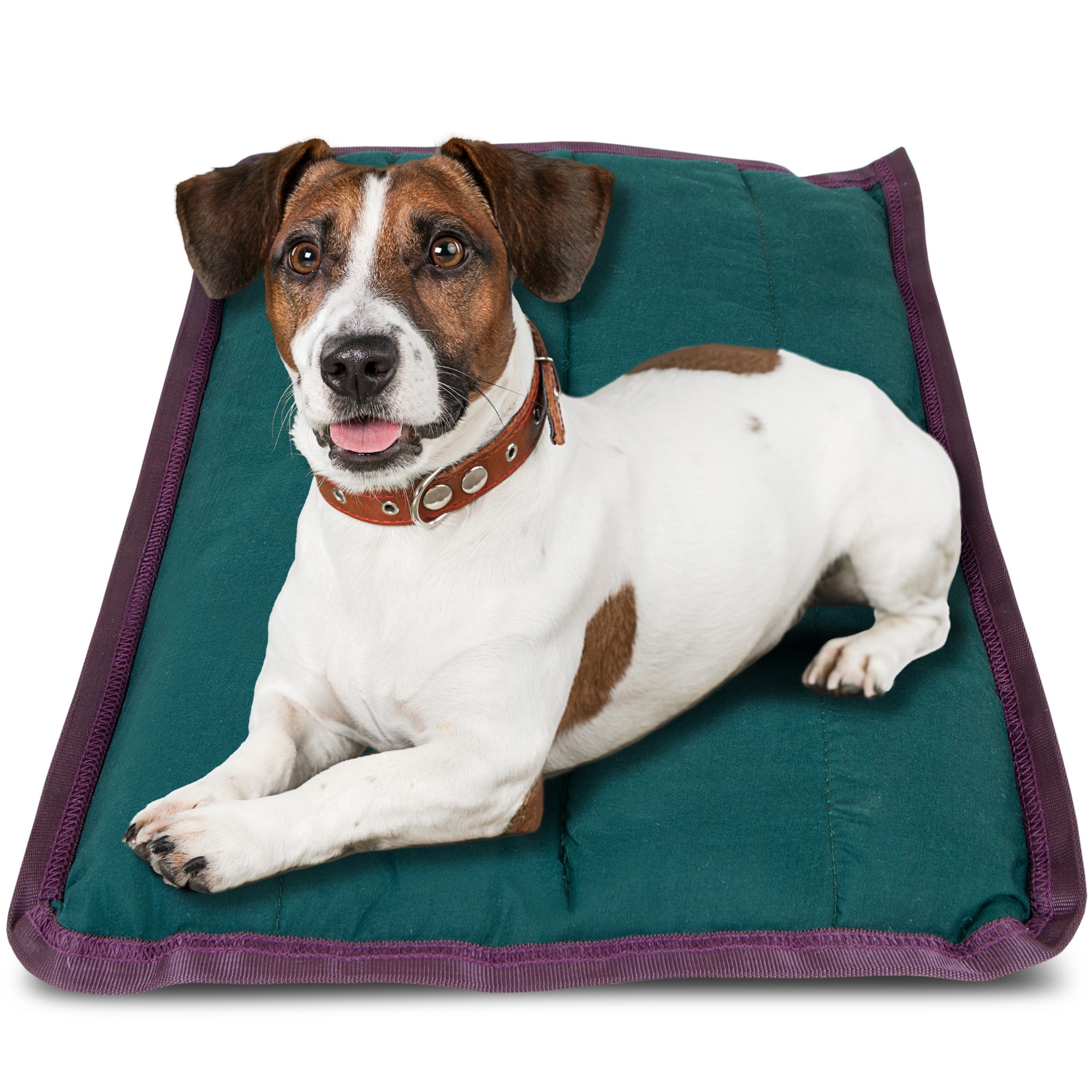 Pet Comfort Pillow - small 18" x 24"