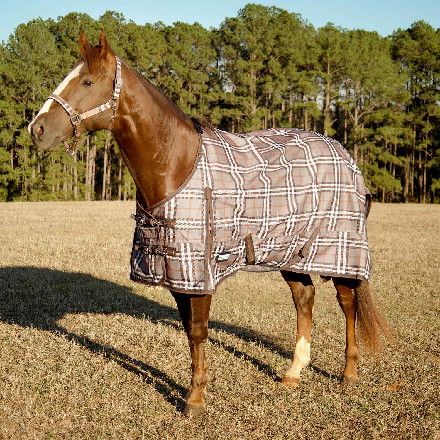 78 In Hilason 600D Winter Waterproof Poly Horse Blanket Belly Wrap Hunter Green