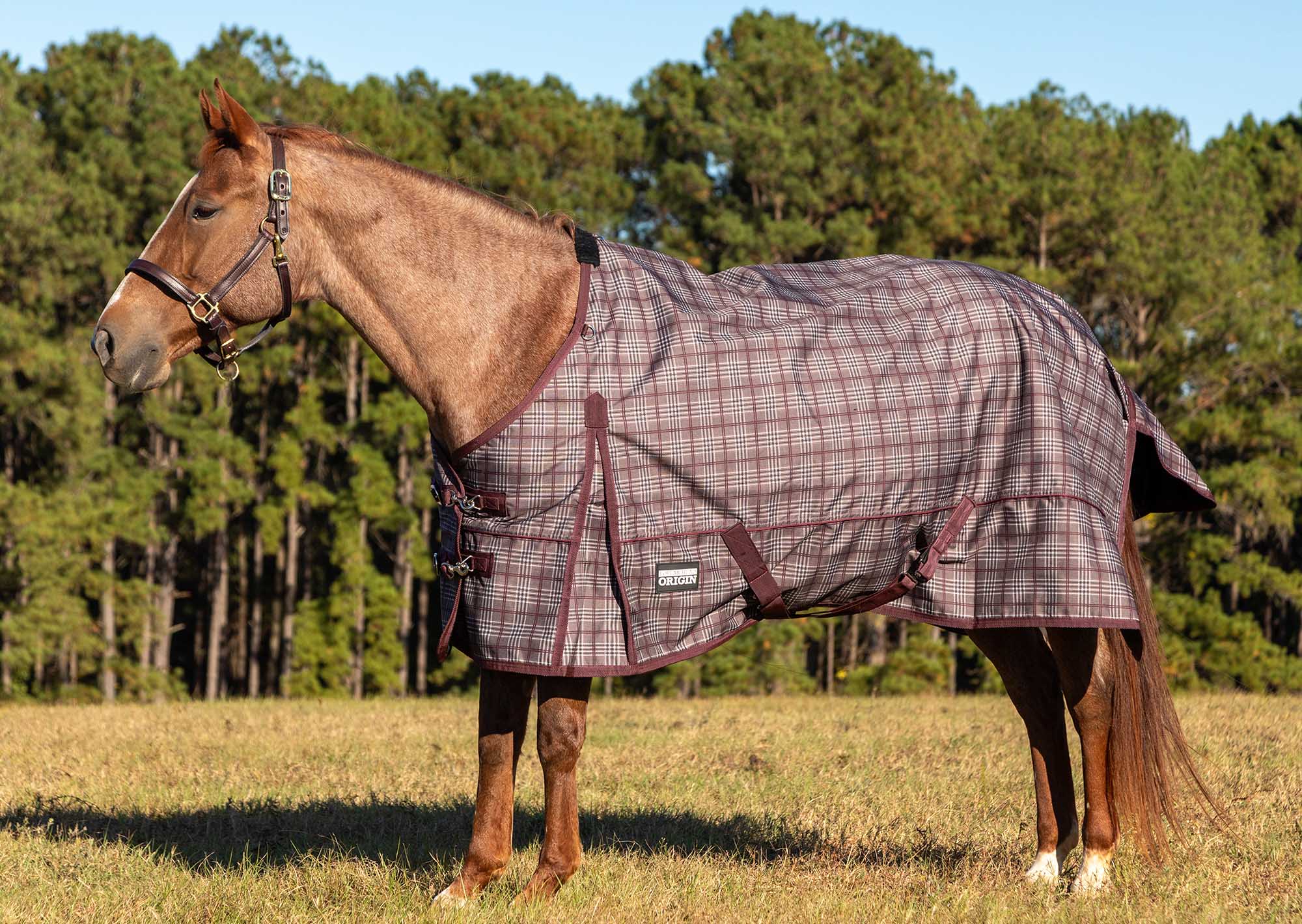 Jeffers Poplar Head Sheet, 0 Grams Polyfill