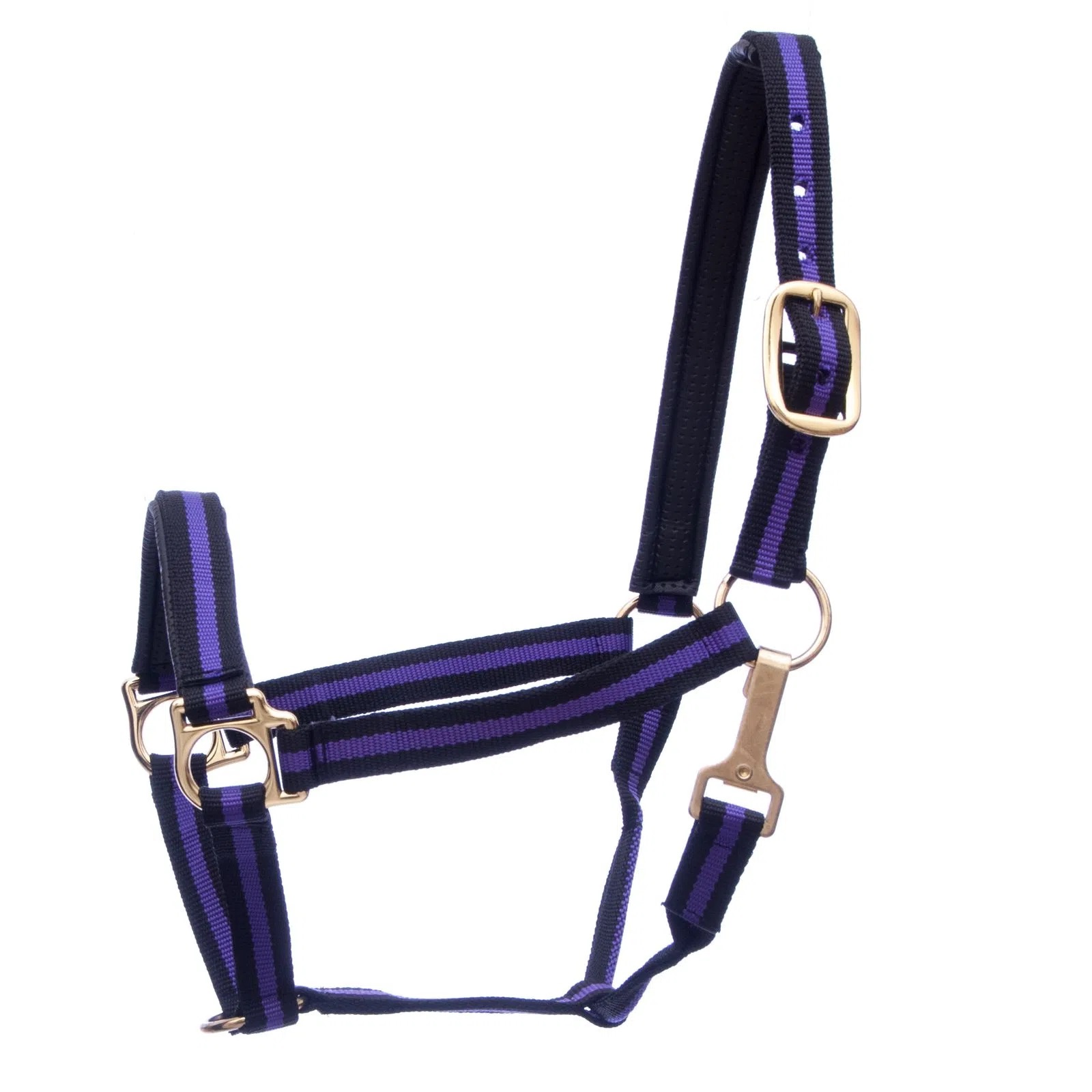 Padded Halter with Snap