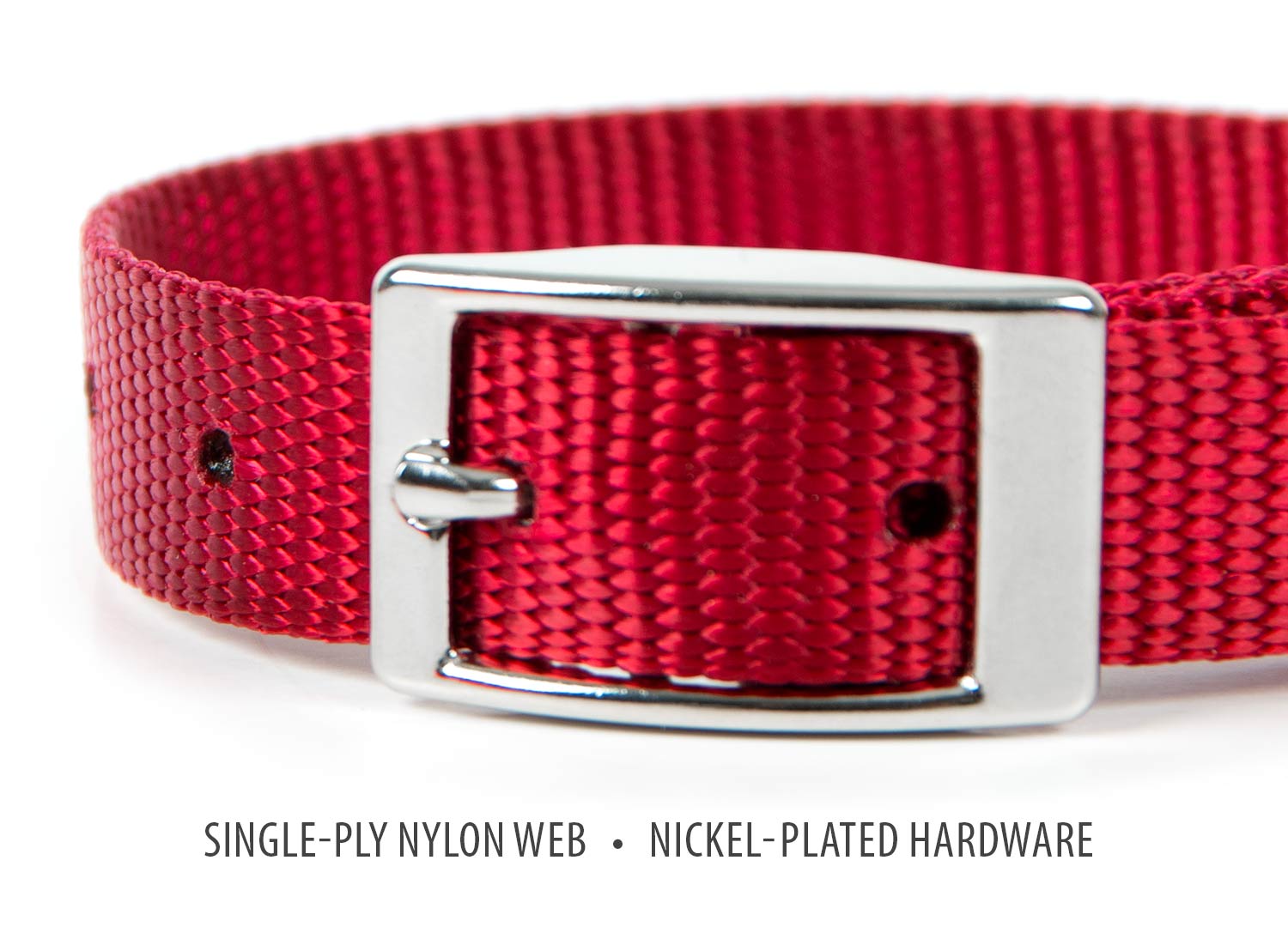 5/8"W x 14"L Dog Collar - Imagen 15 de 22
