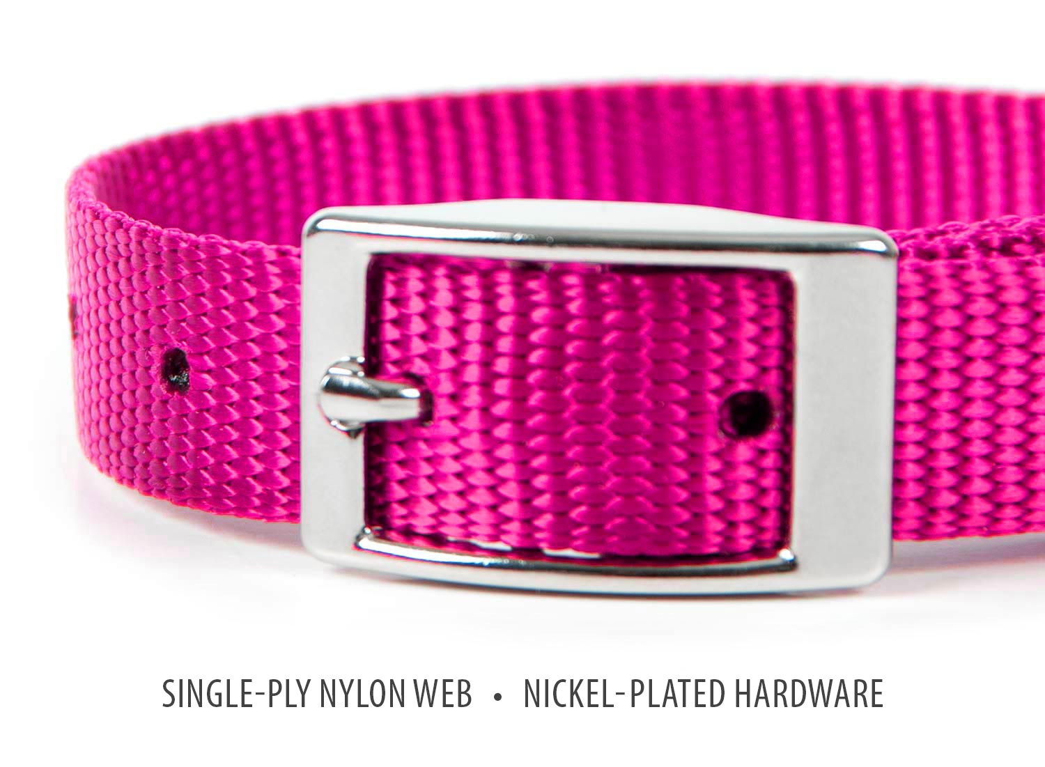 5/8"W x 14"L Dog Collar - Imagen 9 de 22